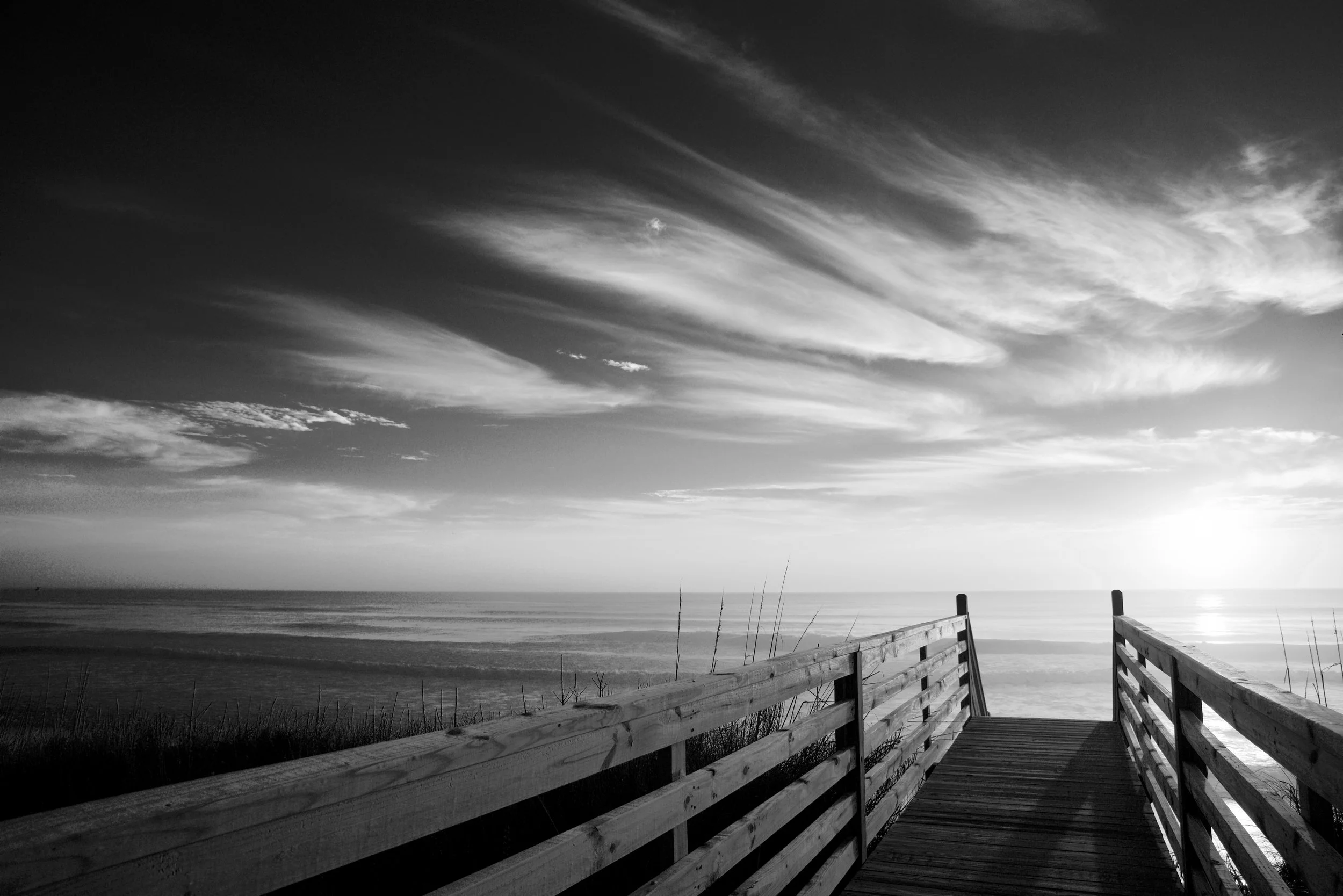 Corolla Morning Sky B/W