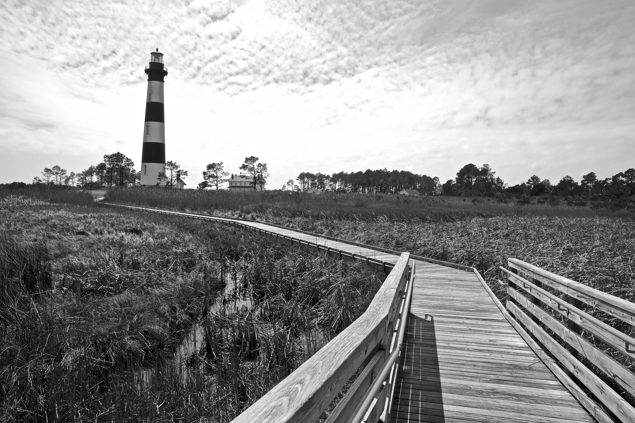 Bodie Island Wetland
