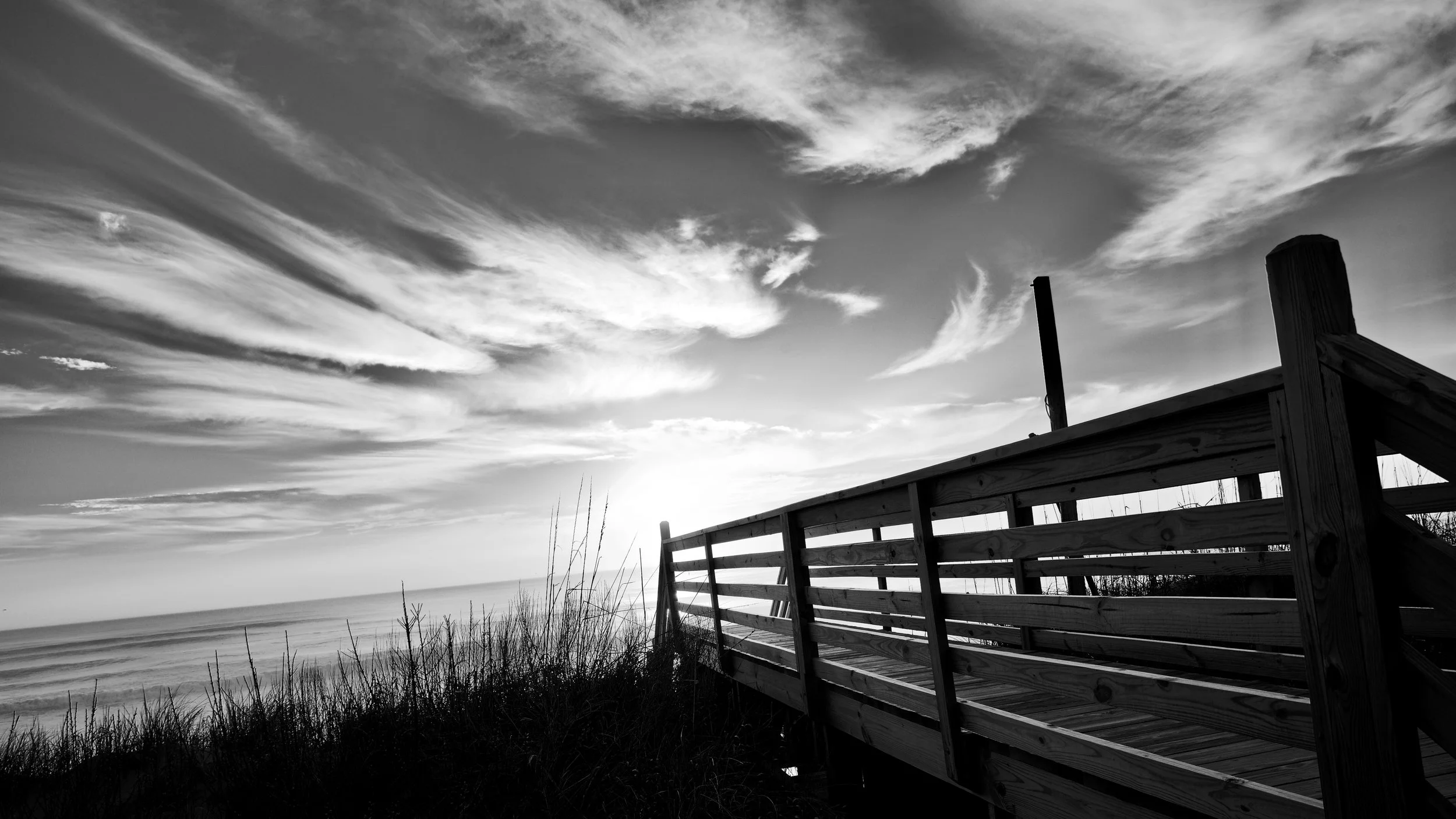 Monochromatic Carolina