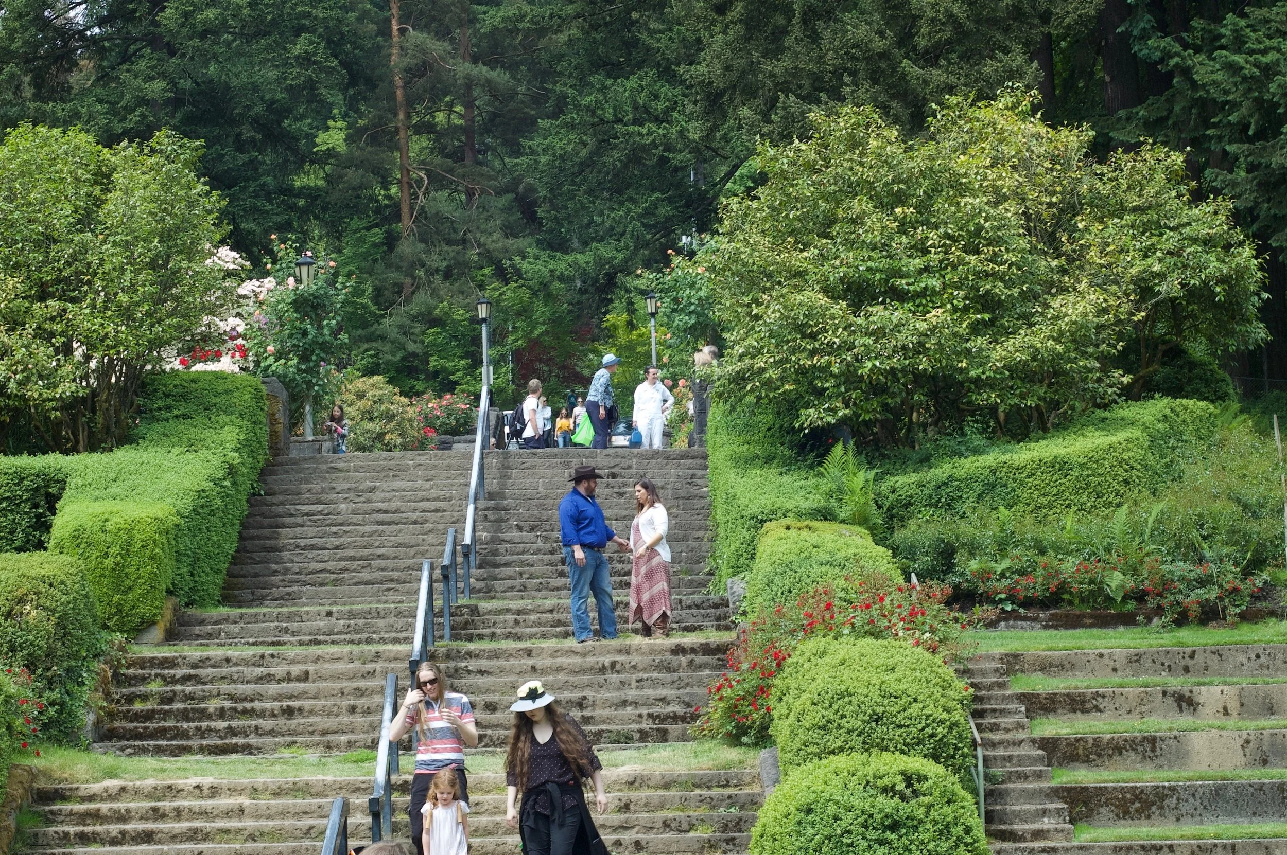 DSC_9073.jpg