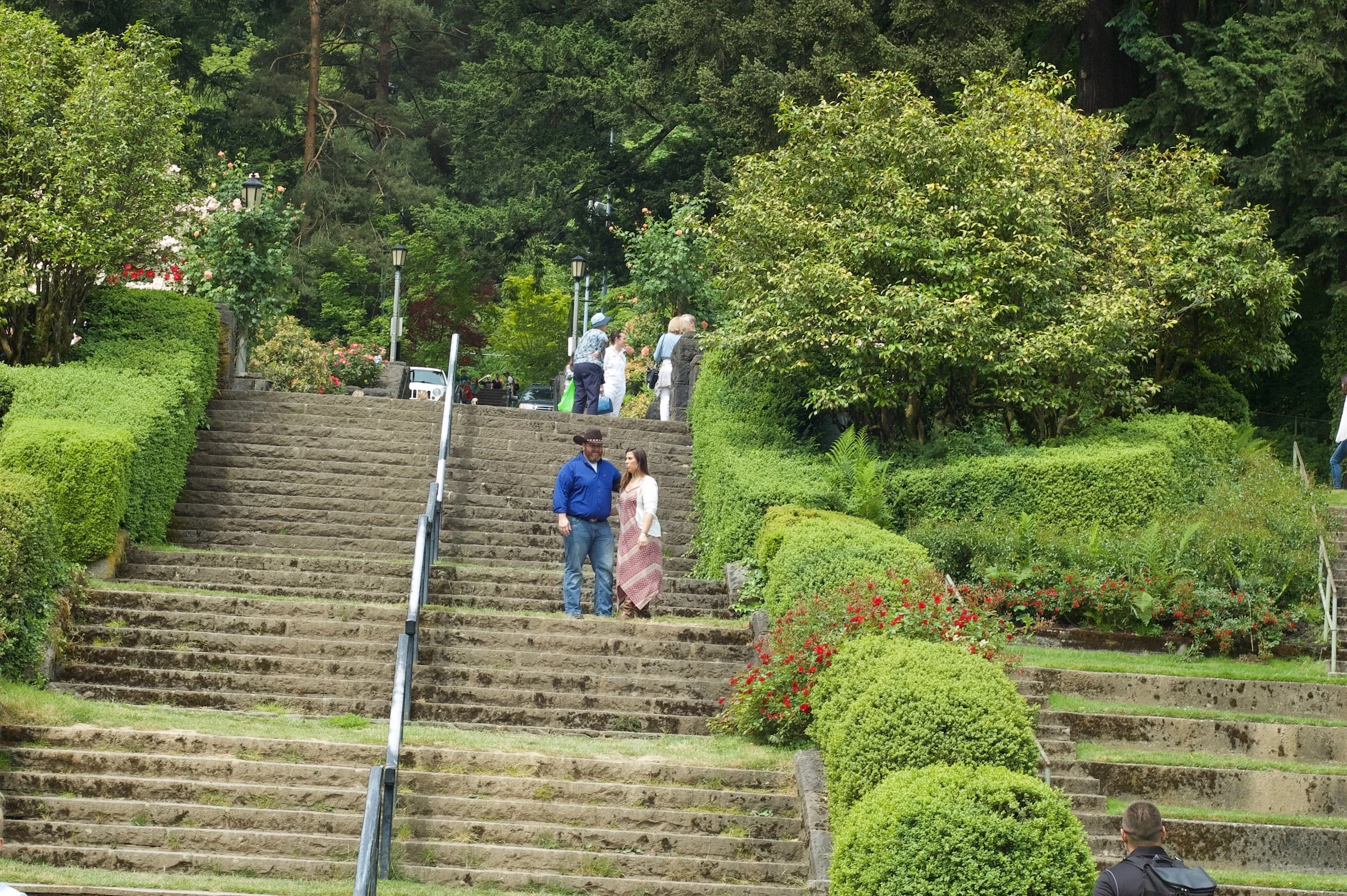 DSC_9082.jpg