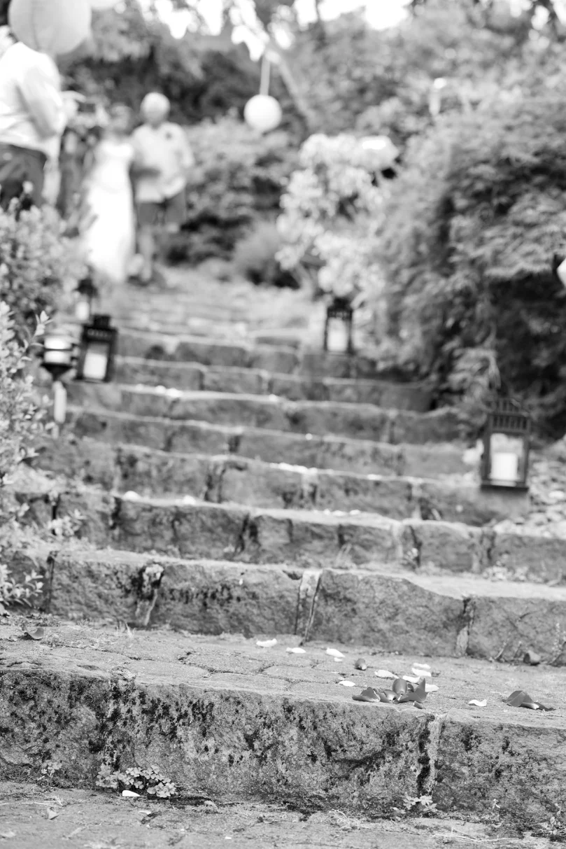 _DSC8084.jpg