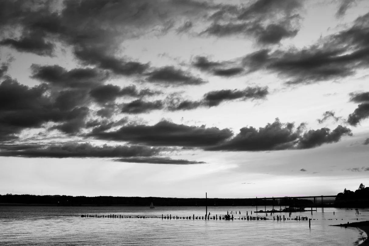 _DSC8701.jpg