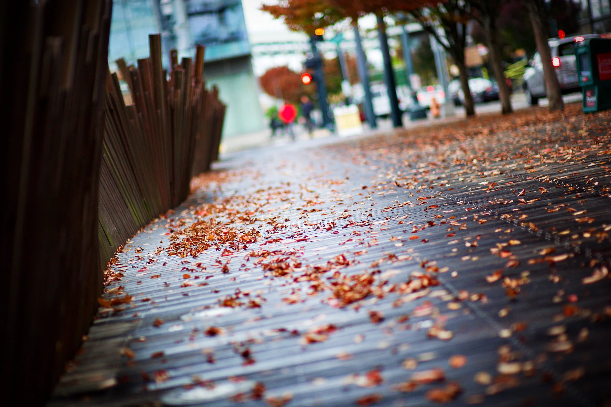 Tanner Springs