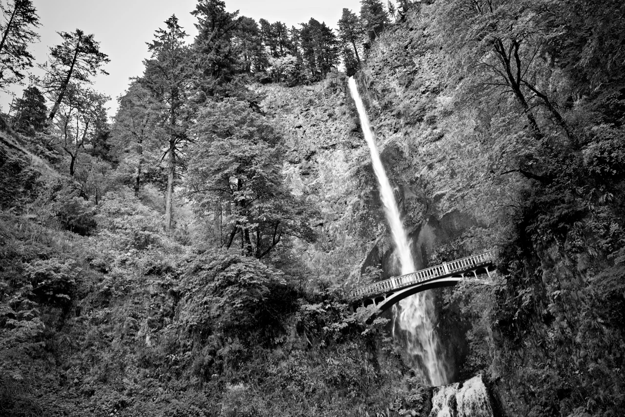 Multnomah Falls B/W