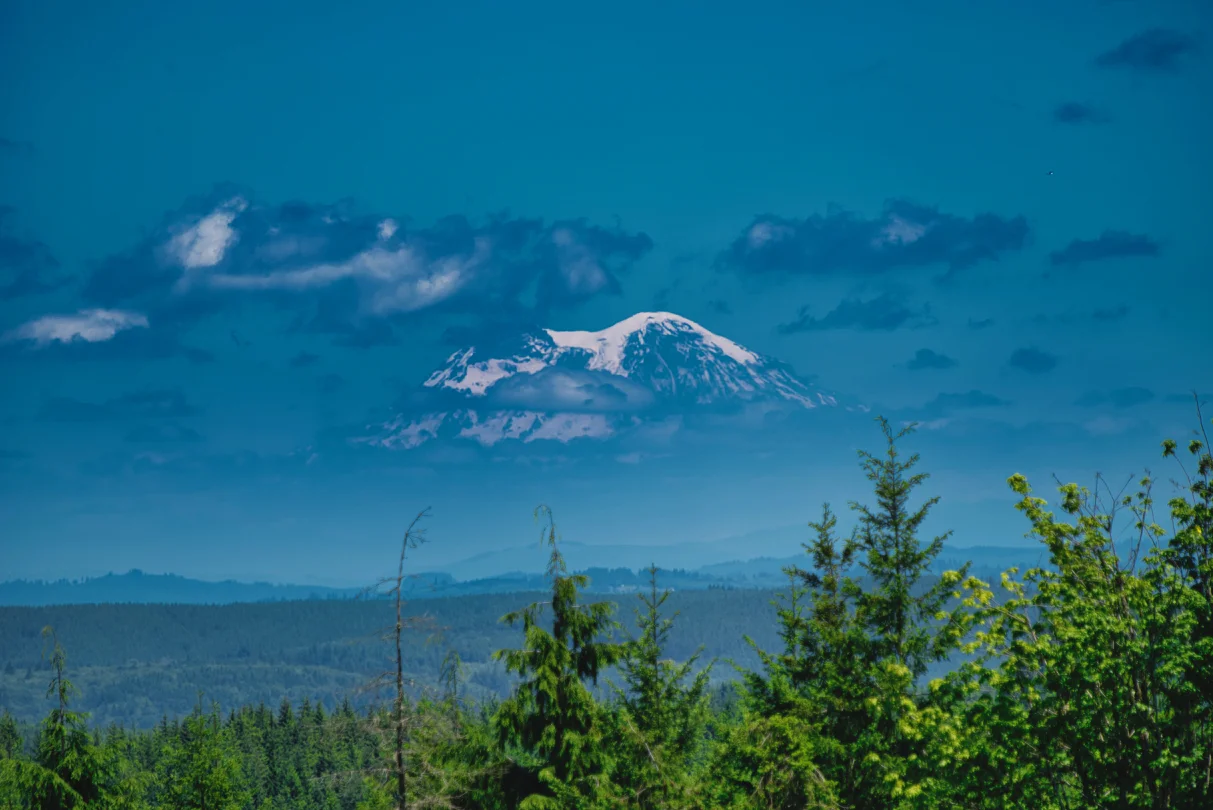 _DSC9381.jpg