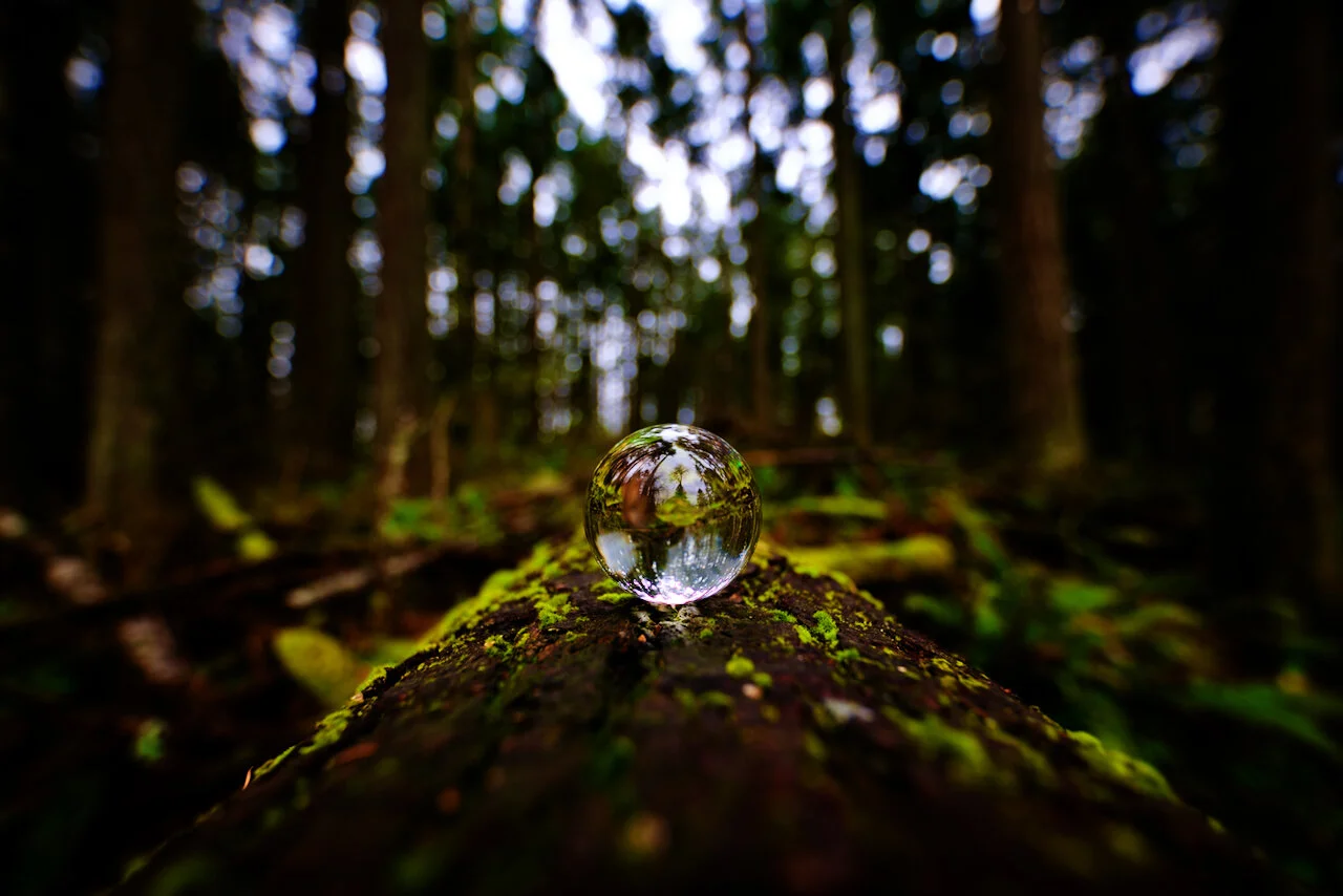 Forested Lensball