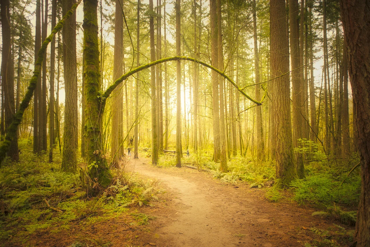 Hyland Arch