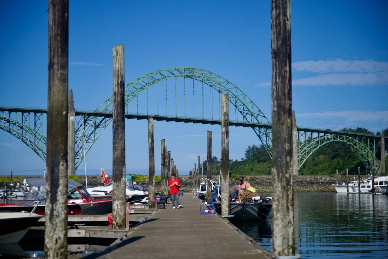 _DSC1529.jpeg
