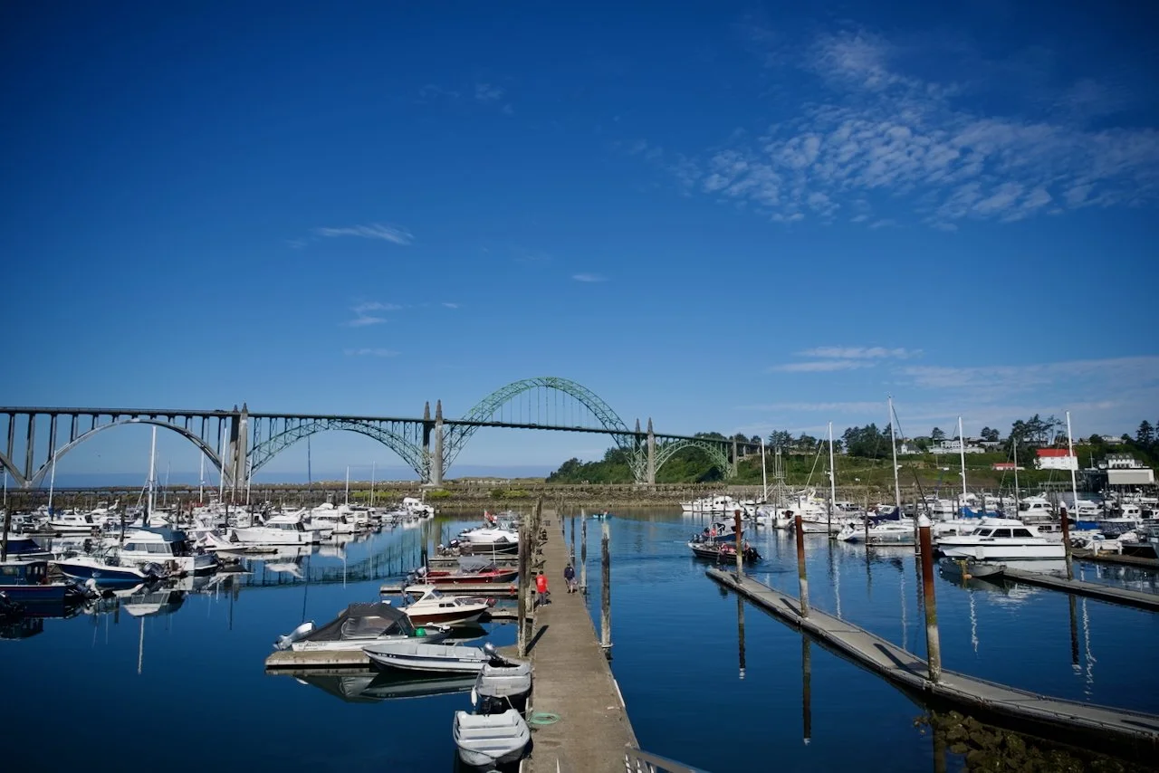 _DSC1553.jpeg