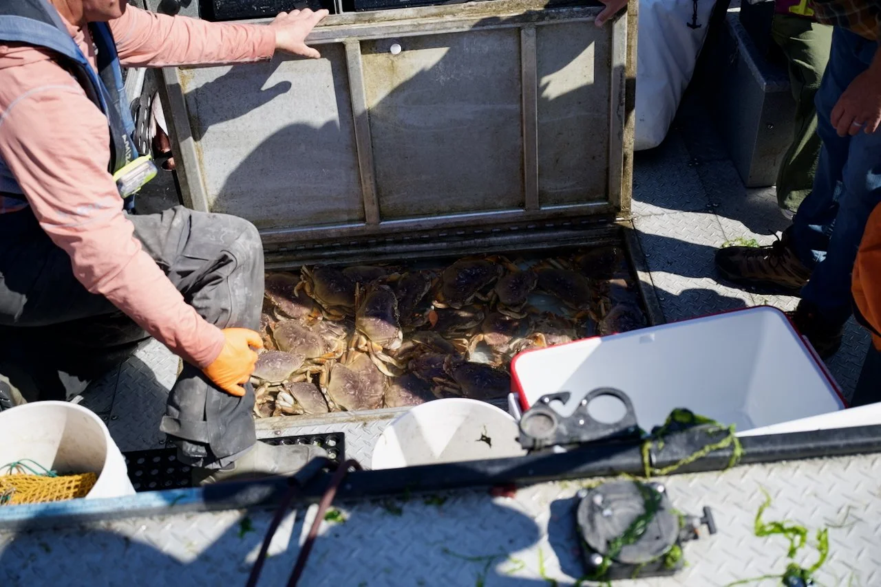 _DSC1560.jpeg