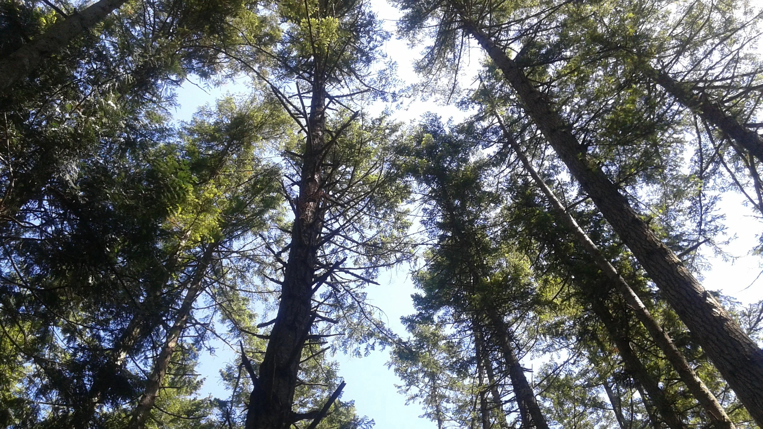 20170527_122031.jpg
