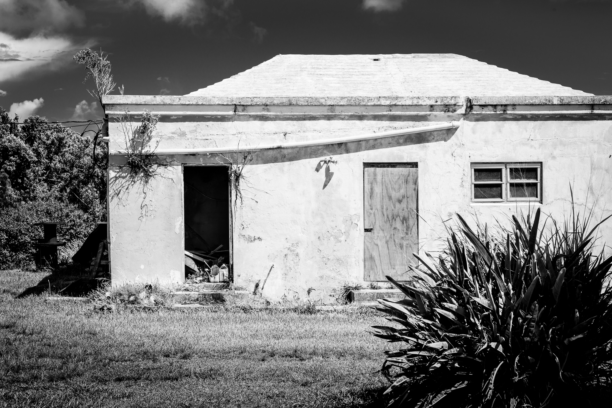 JohnColePhoto-Bermuda-18.jpg