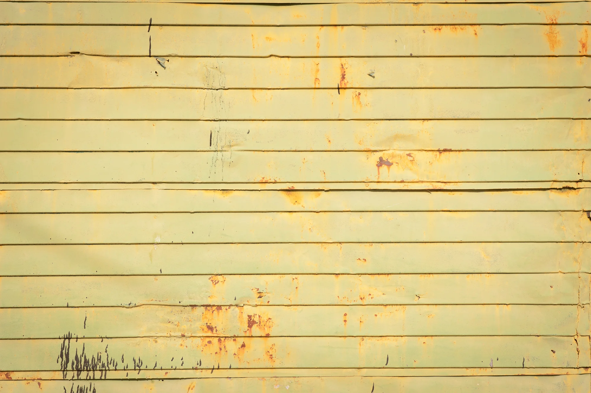 Carriage House Wall - 2010 Washington, DC