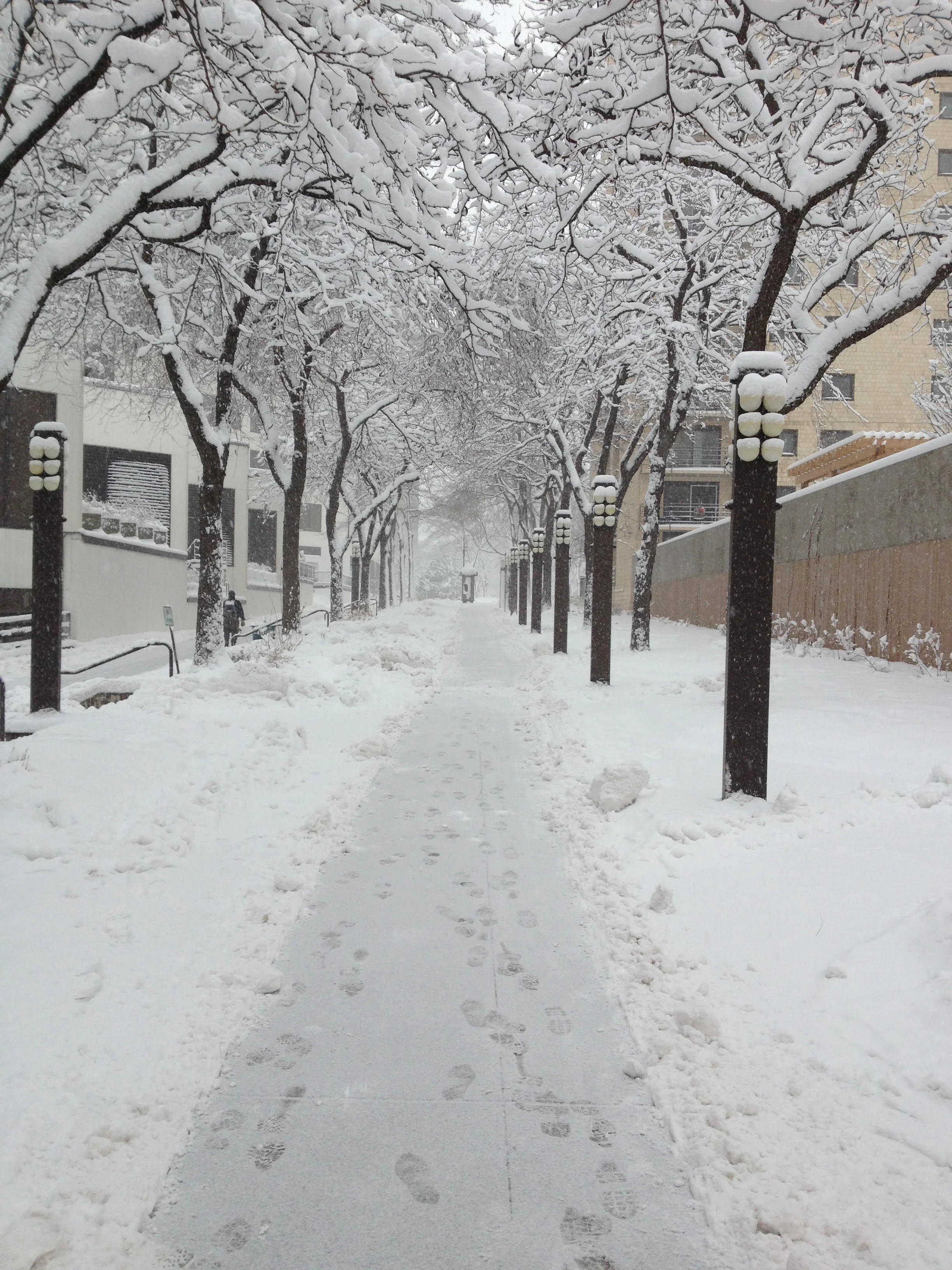 Snowy Greenway.jpg