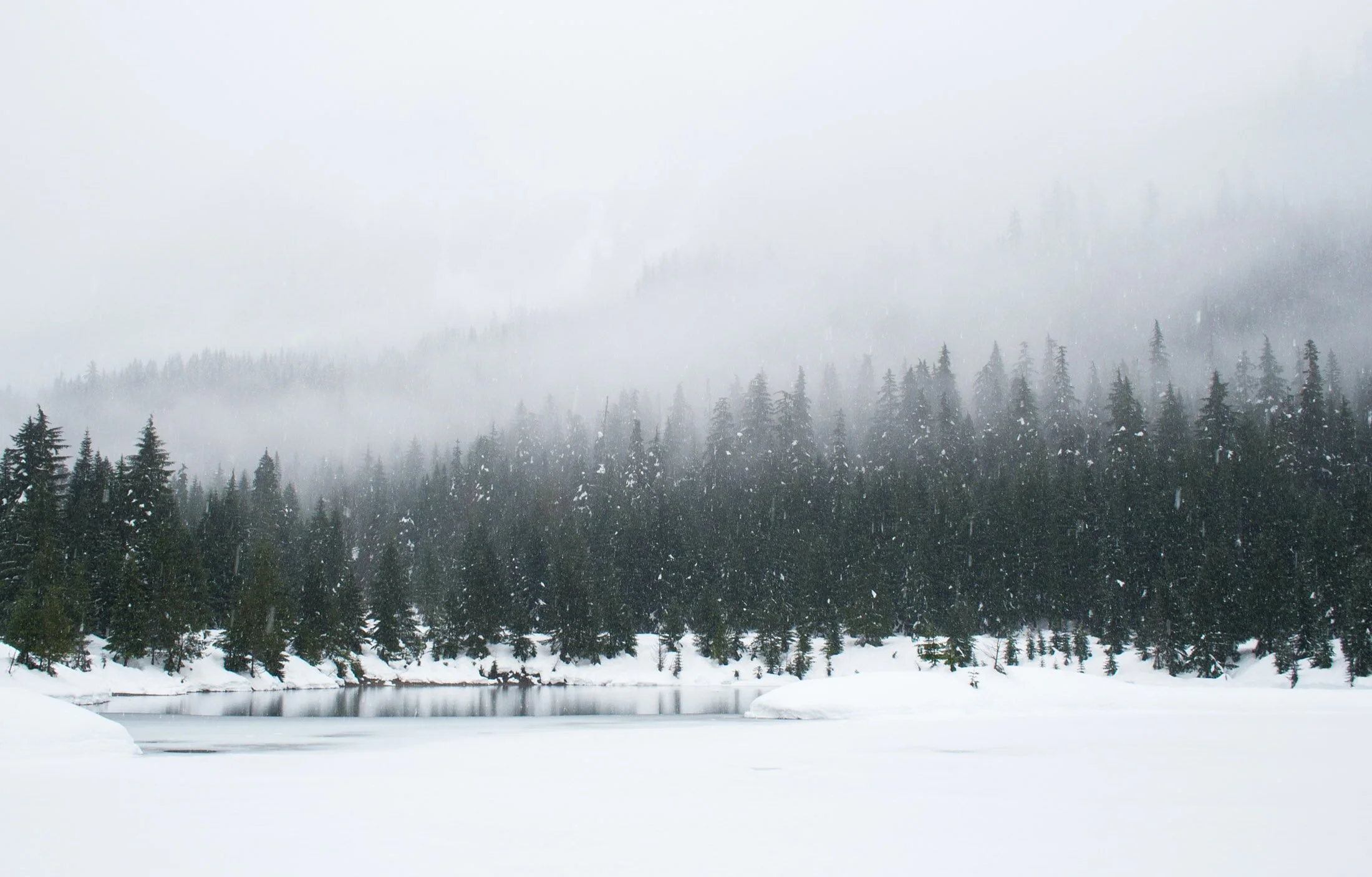 Winter Got You Down?