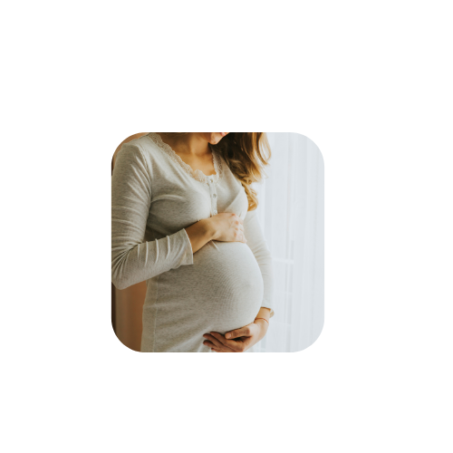 Fertility &amp; Pregnancy