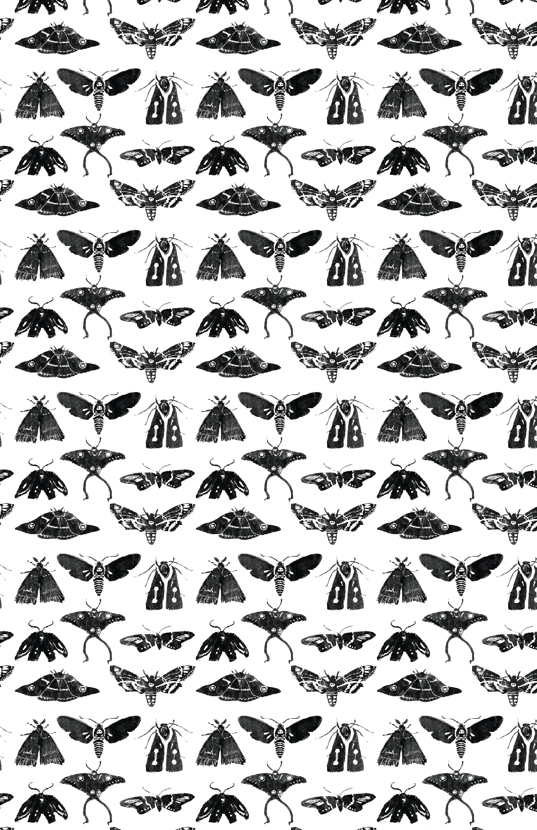 patterns-01.jpg