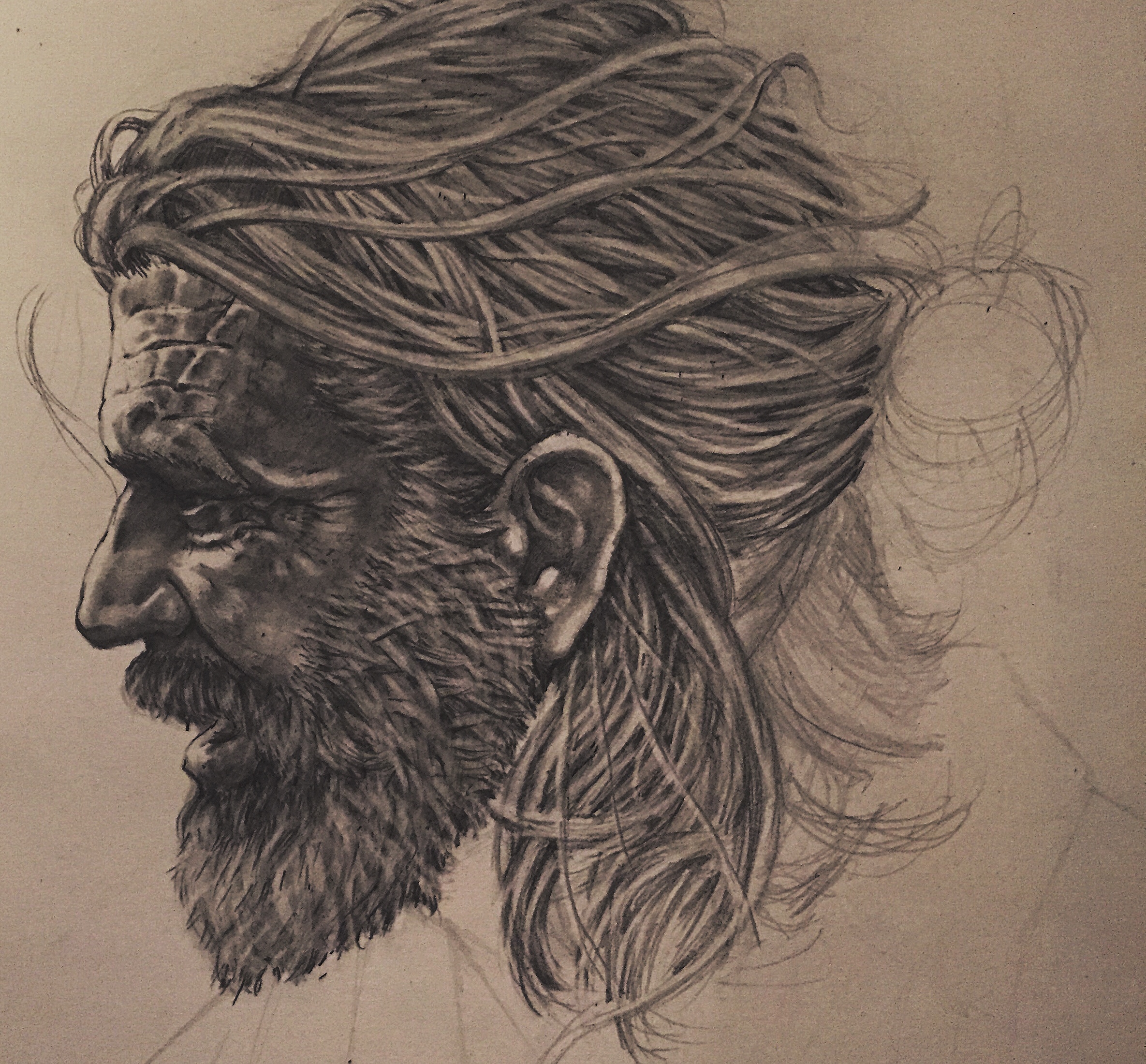 Enlight34.jpg