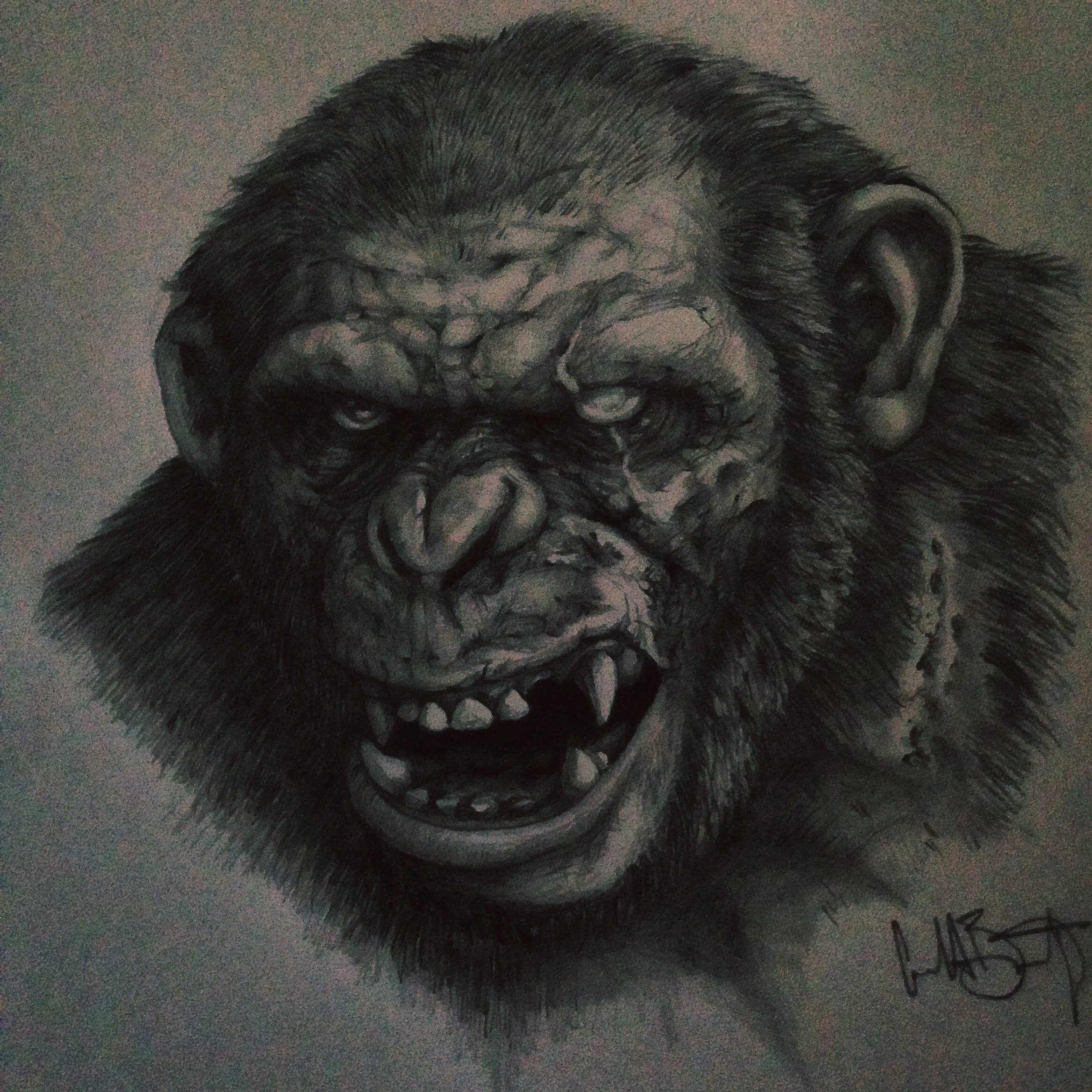 Enlight32.jpg