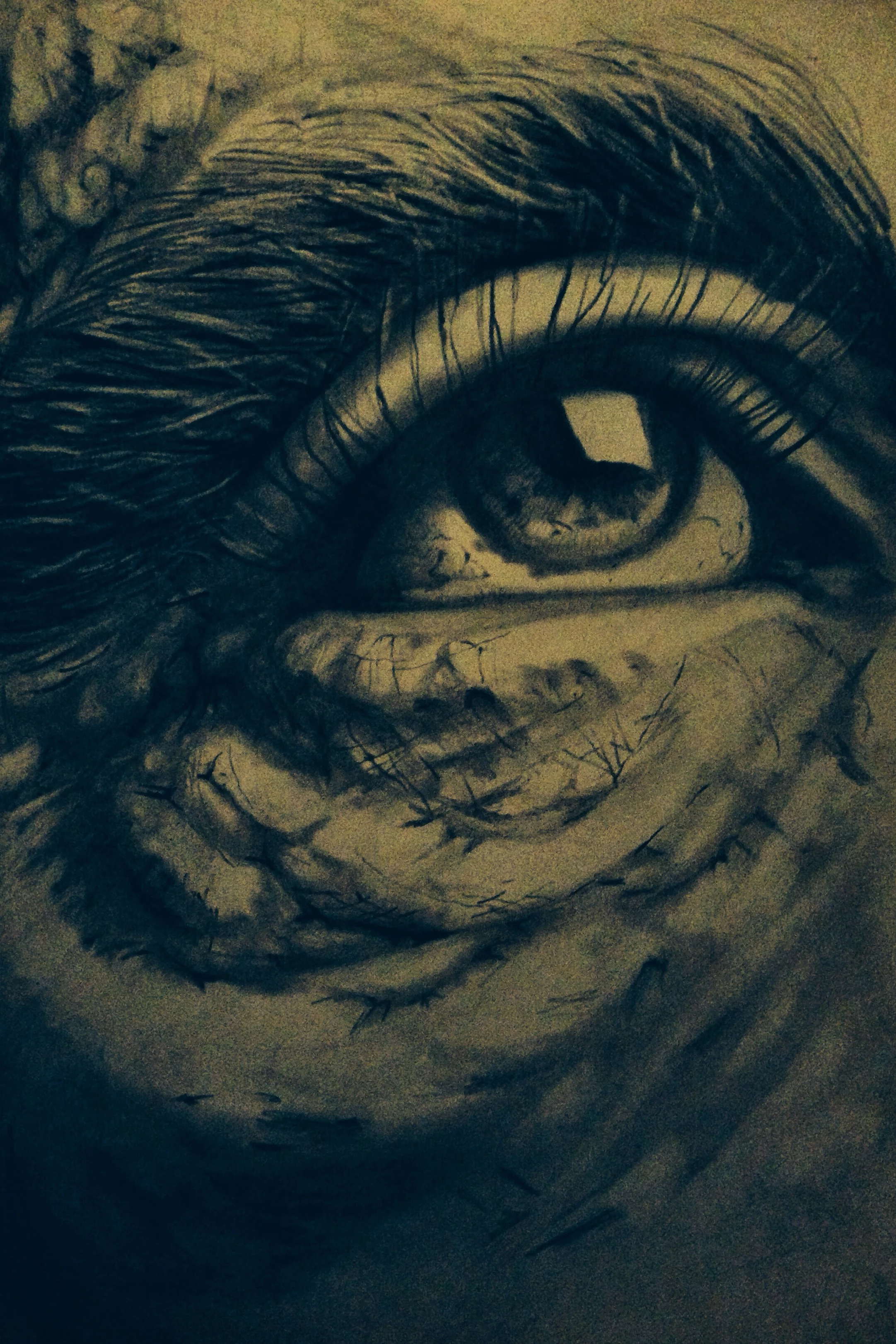 Enlight54.jpg