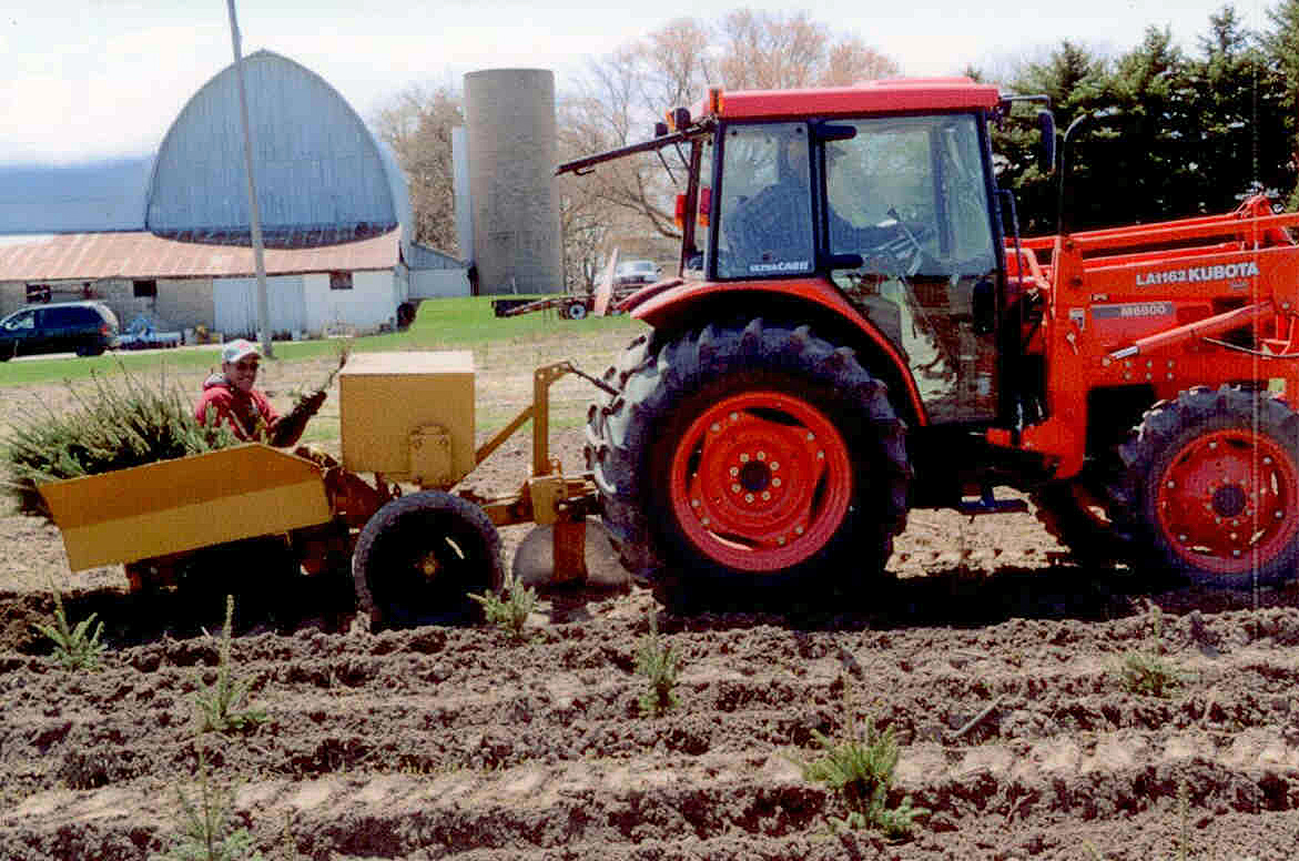 Planter For Bare-Roots