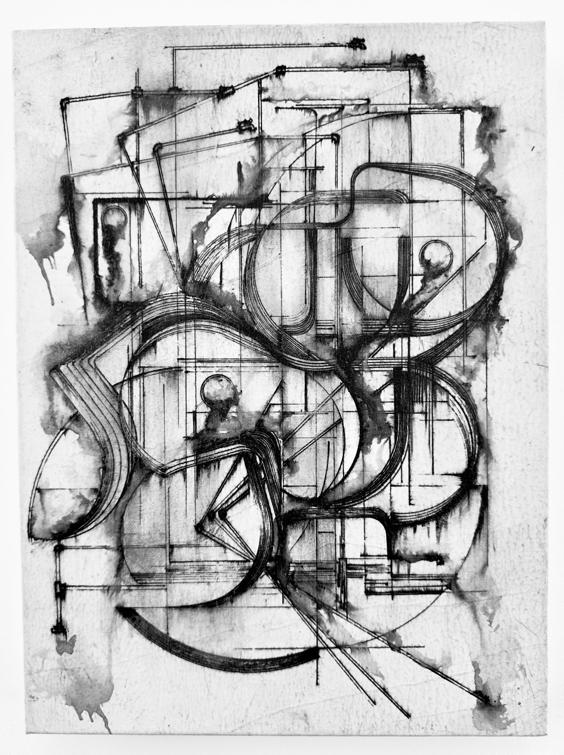 C:SL:NOVORCHIDSLP:#3:LAS