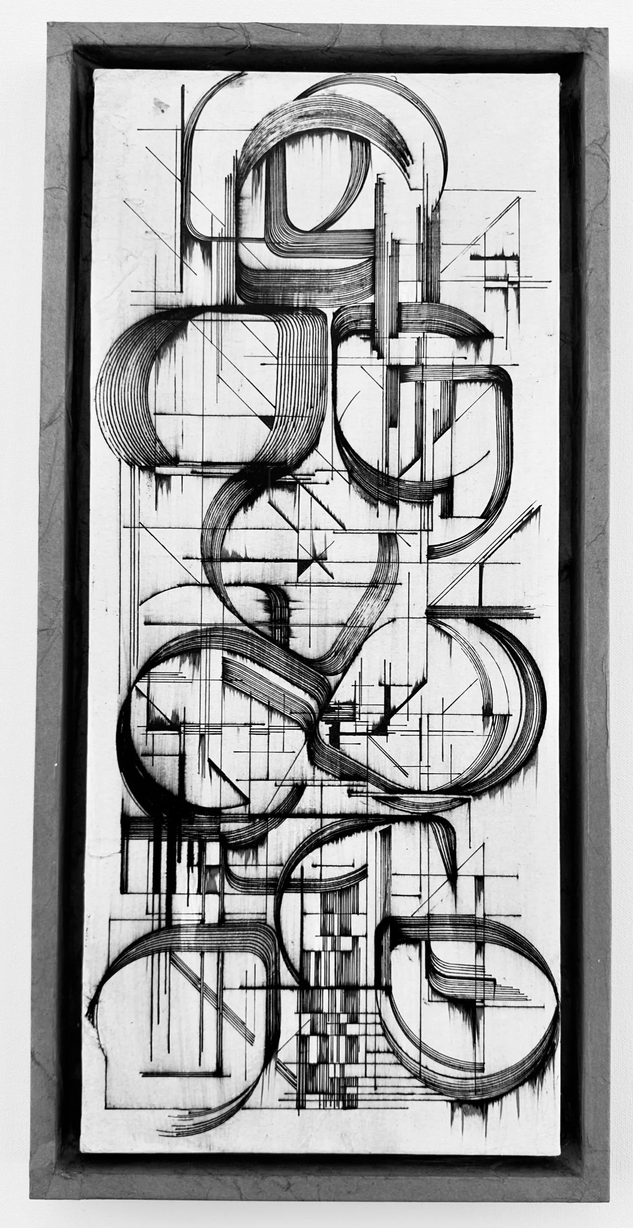 C:SL:NOVORCHIDSLP:#4:LAS