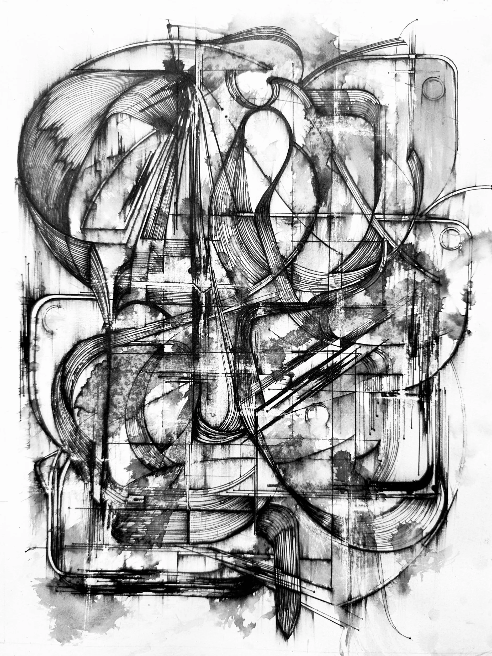 P:ML:NUVORCHIDS:E24:LAS