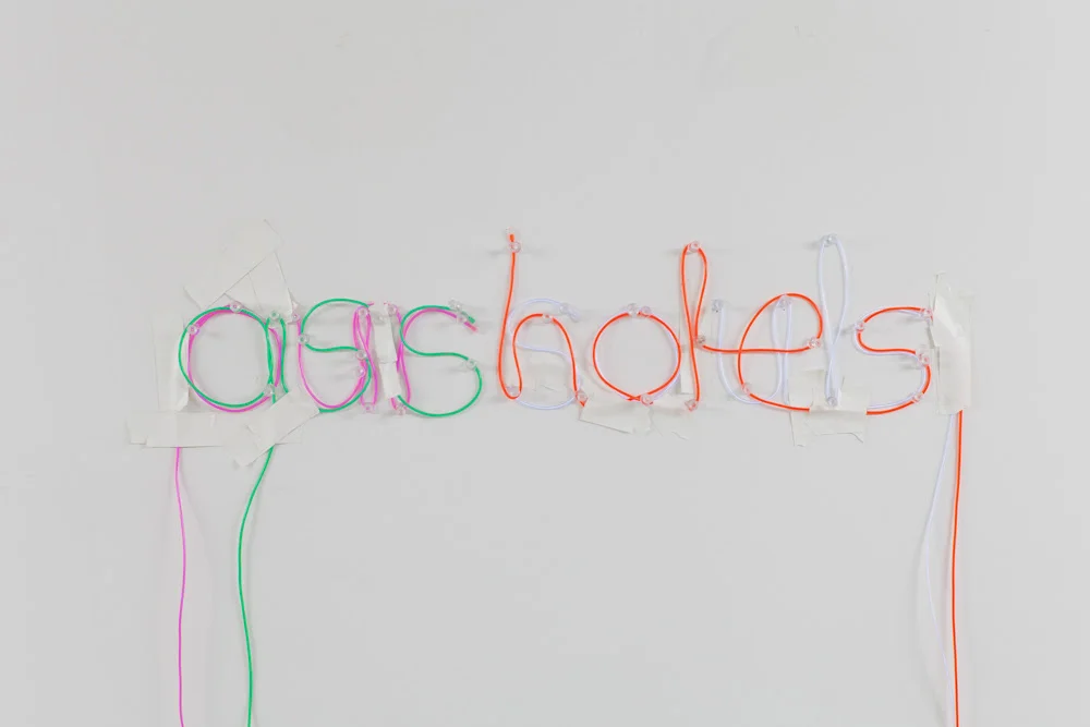 OUR SOULS ASSHOLES, 2013,&nbsp;EL wire, tacks and tape,&nbsp;6 x 12 x 1 inches