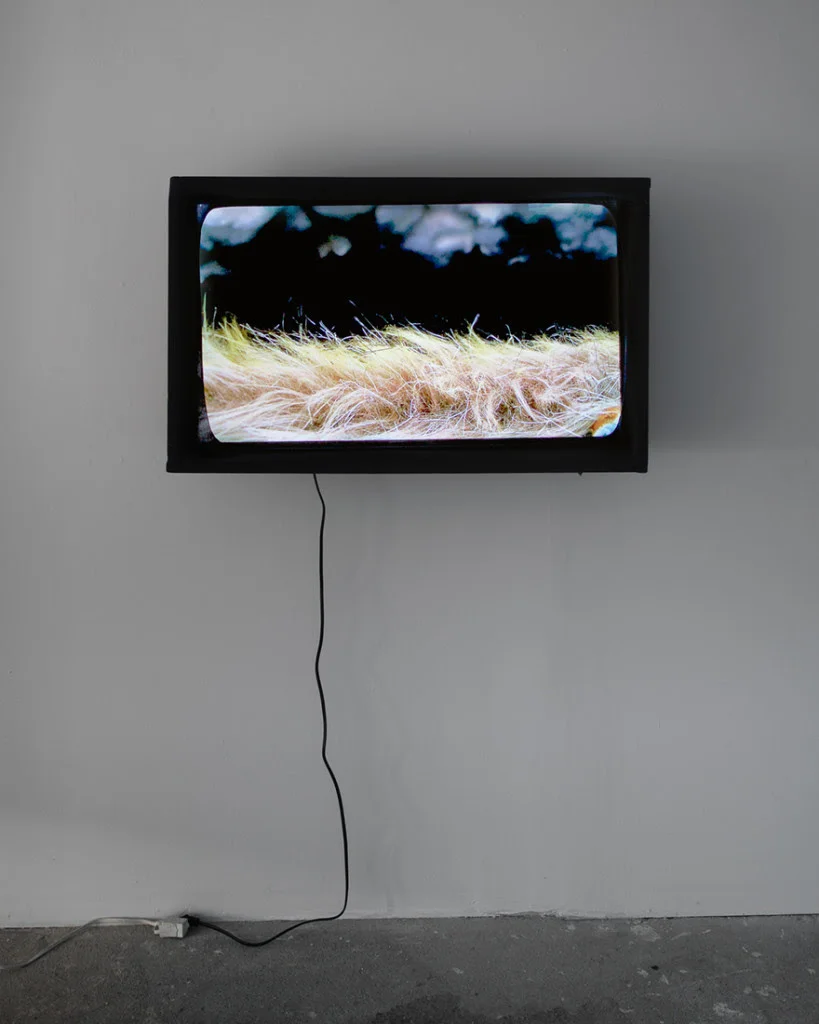 In doing so, you become the monster you are trying to combat, 2014, HD video