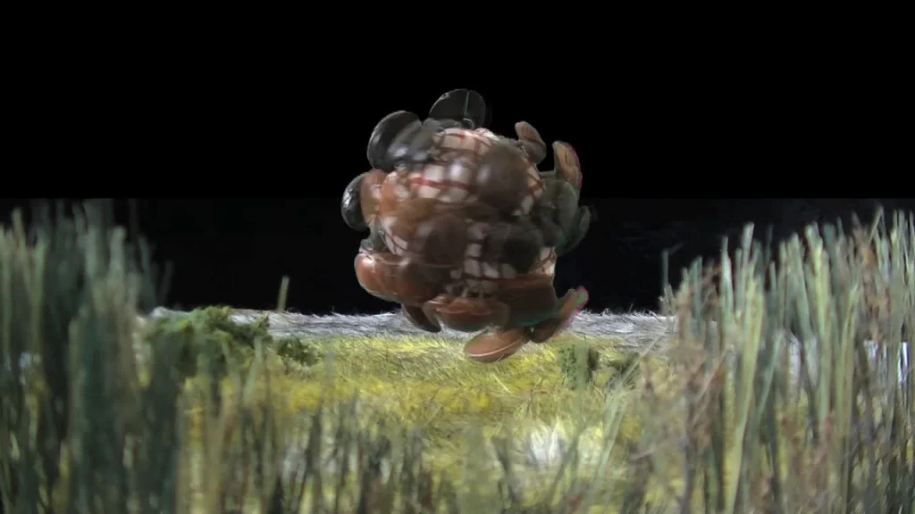 This is what it feels like in The End: Supervirus, 2014 (video still)