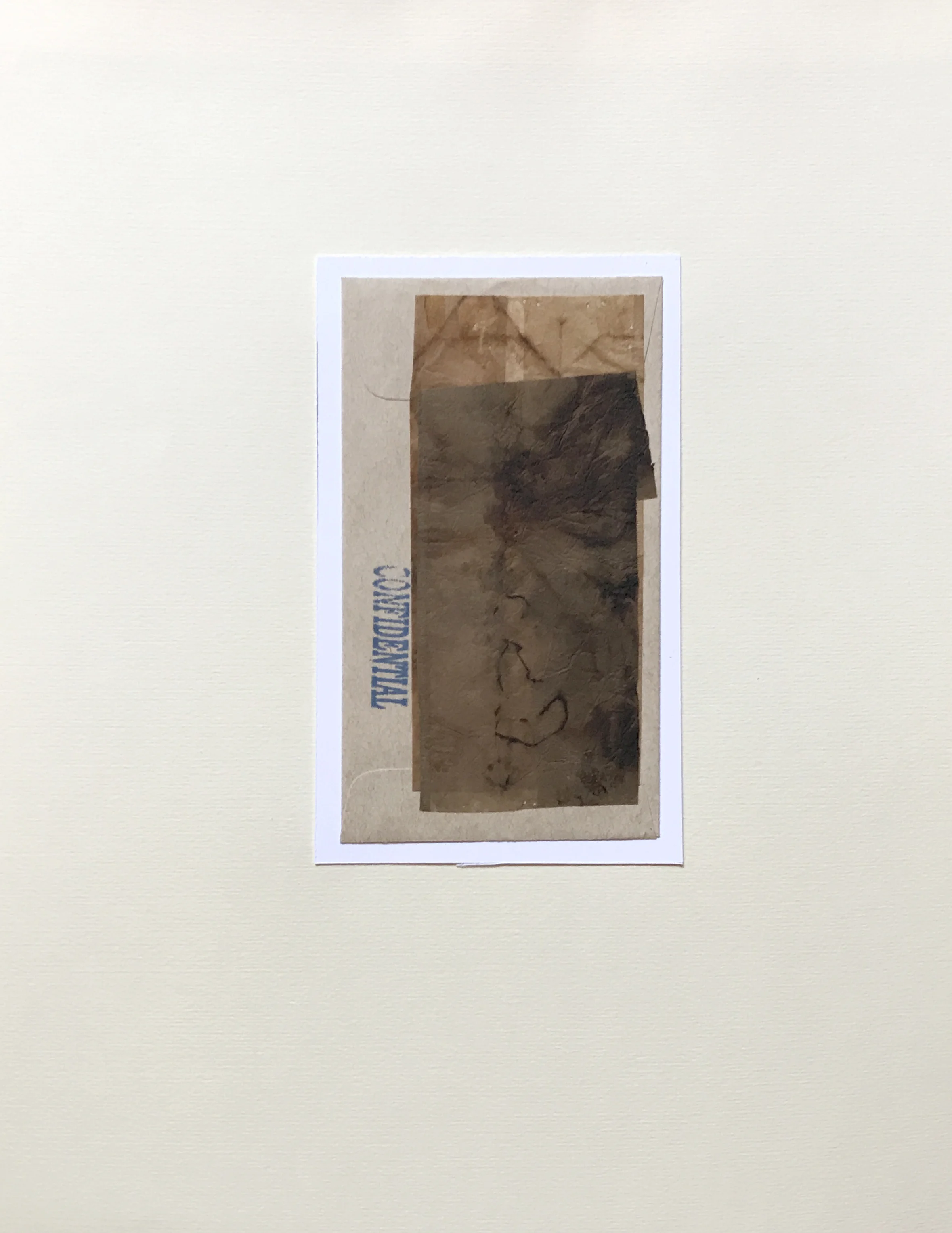 Teabag 1