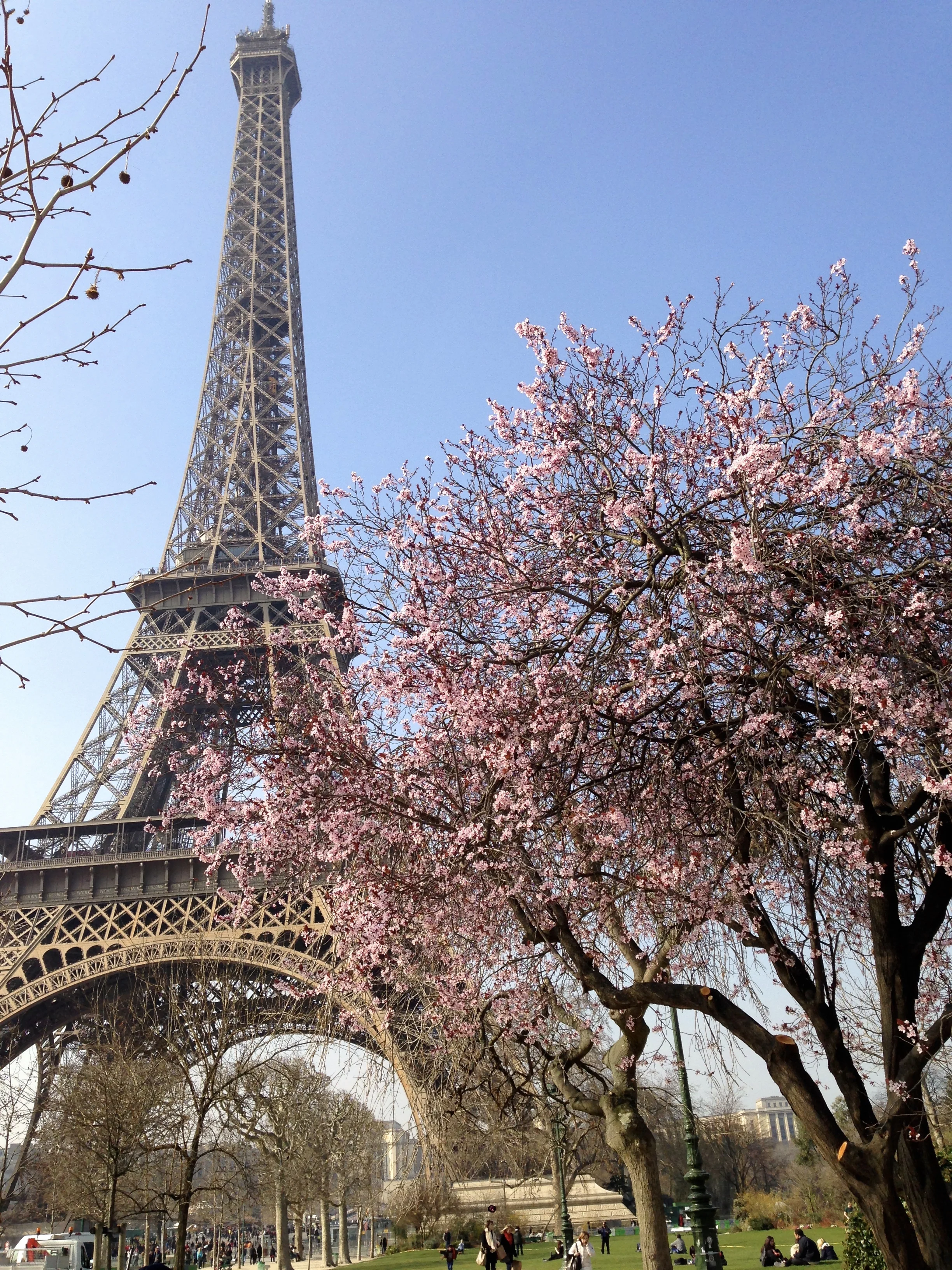 With Two Feet in Two Cultures