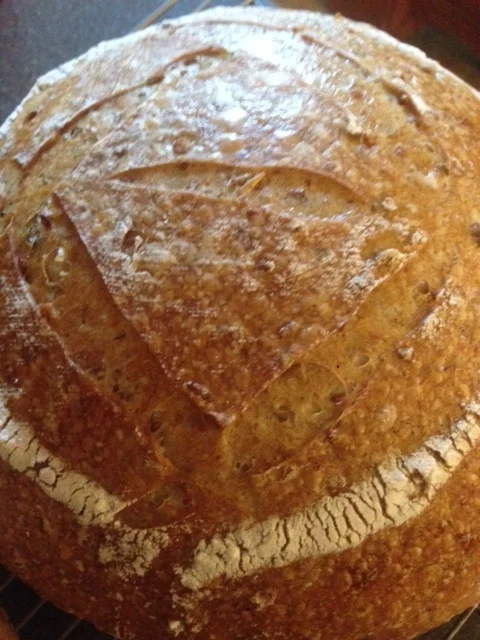 Tutorial for Sourdough Starter
