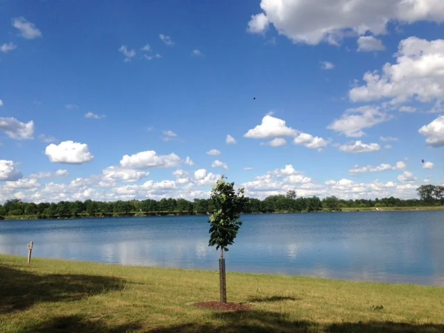 Spending Time at Fidler Pond