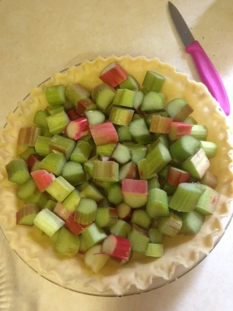 Remembering Grandma Hollopeter and her Rhubarb Custard Pie