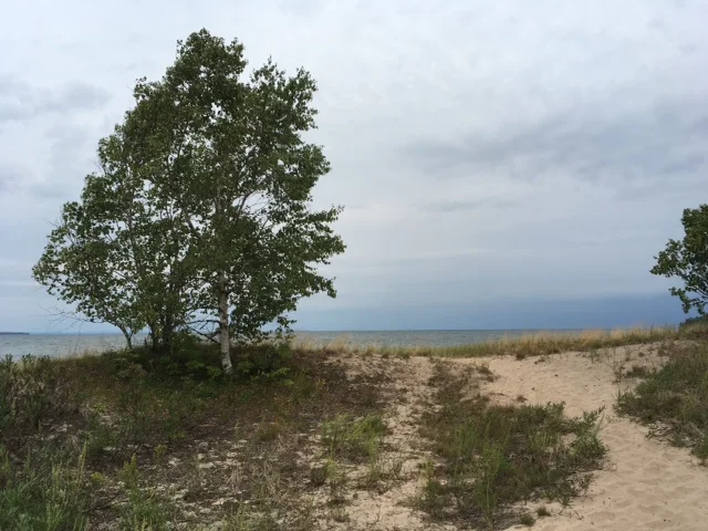 A World Away