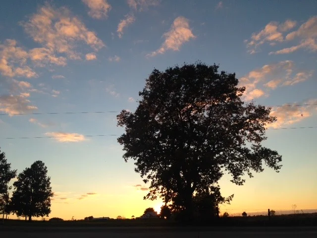 Fall is Coming