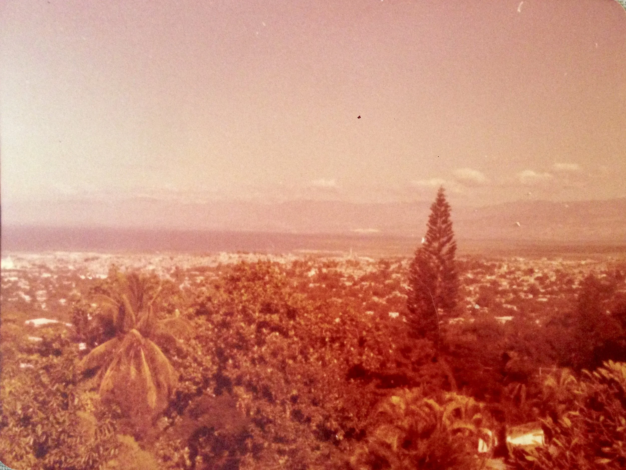 Under the Haitian Sun