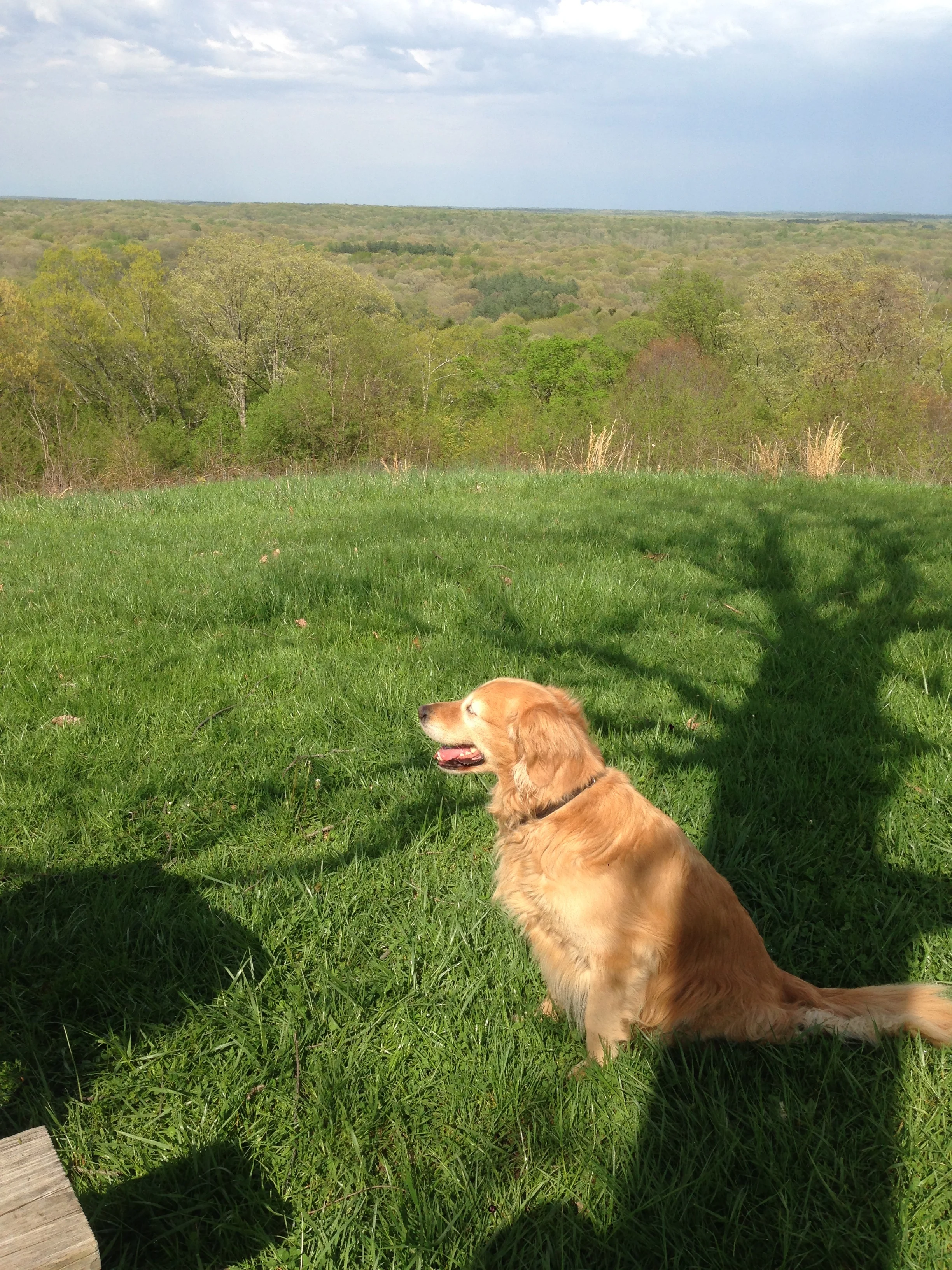 Finding Renewal in Nature