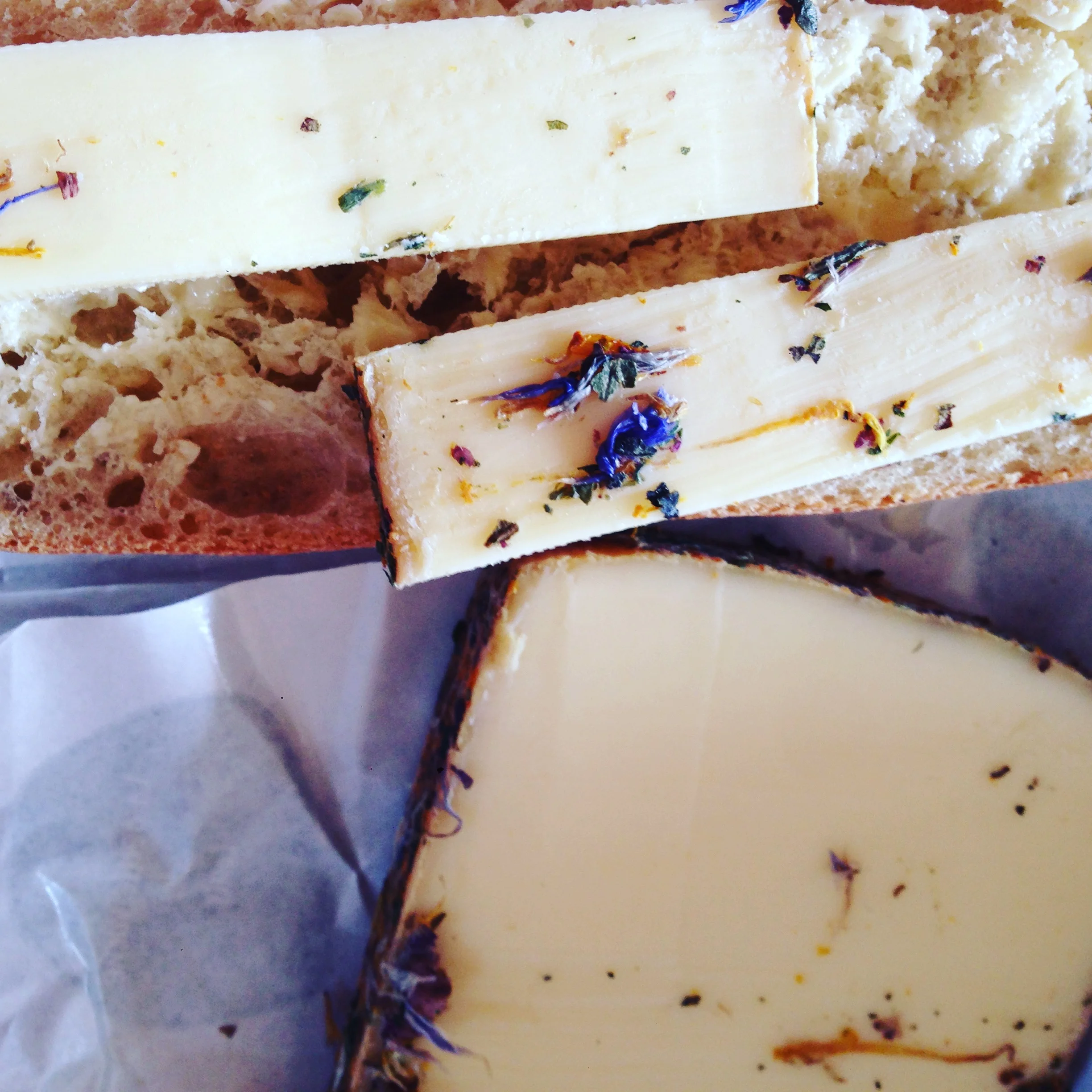 A Cheese Dream Come True