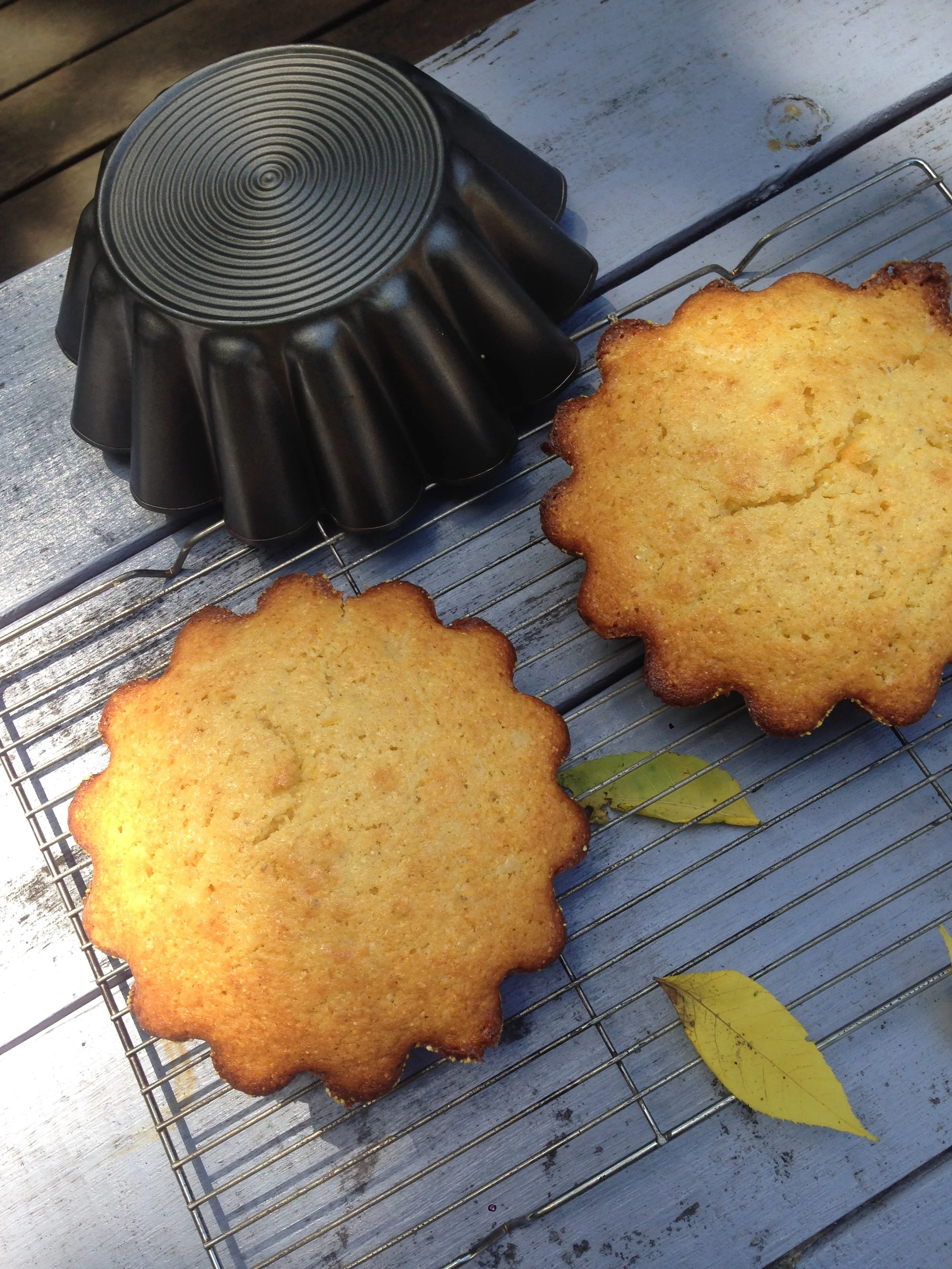 Using Preserved Lemons 1