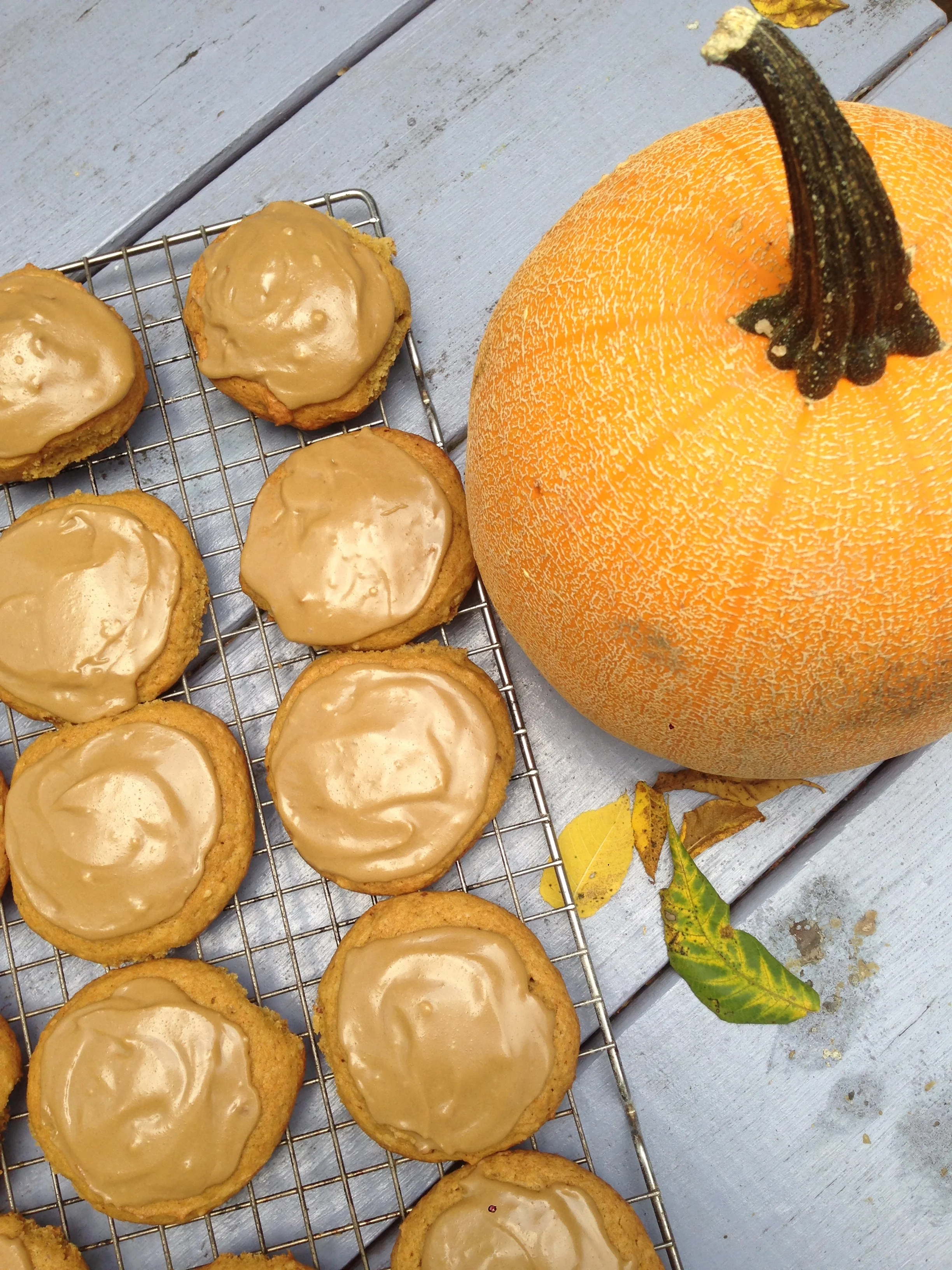 Pumpkin Swoon