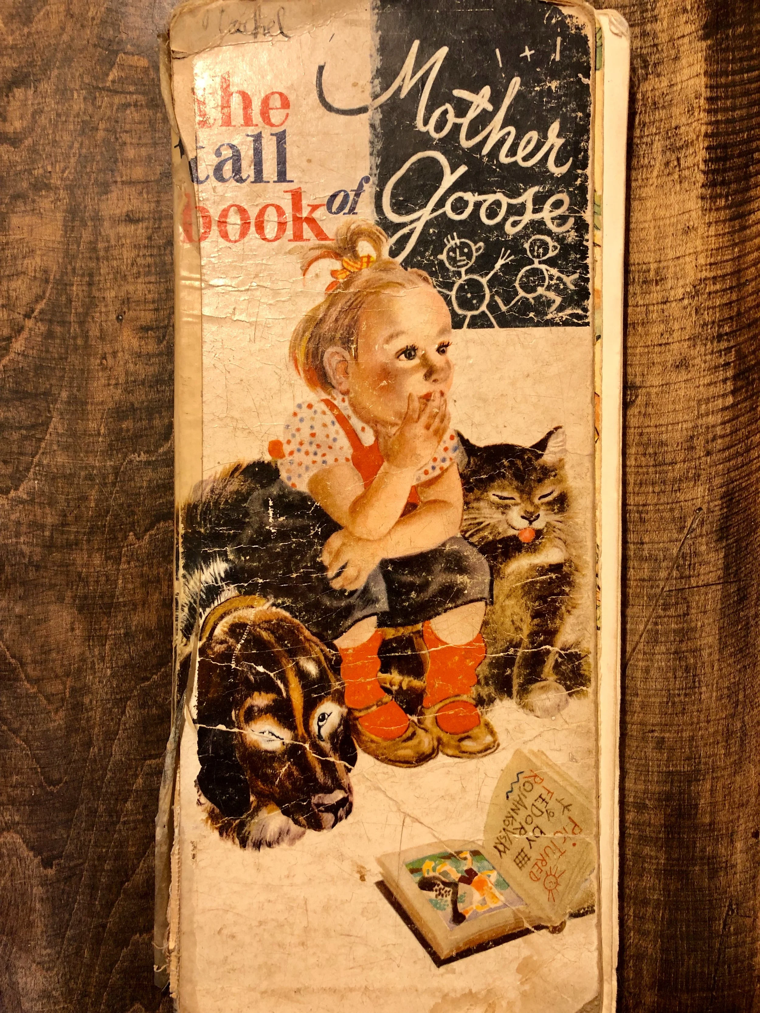 Reading Through the Winter