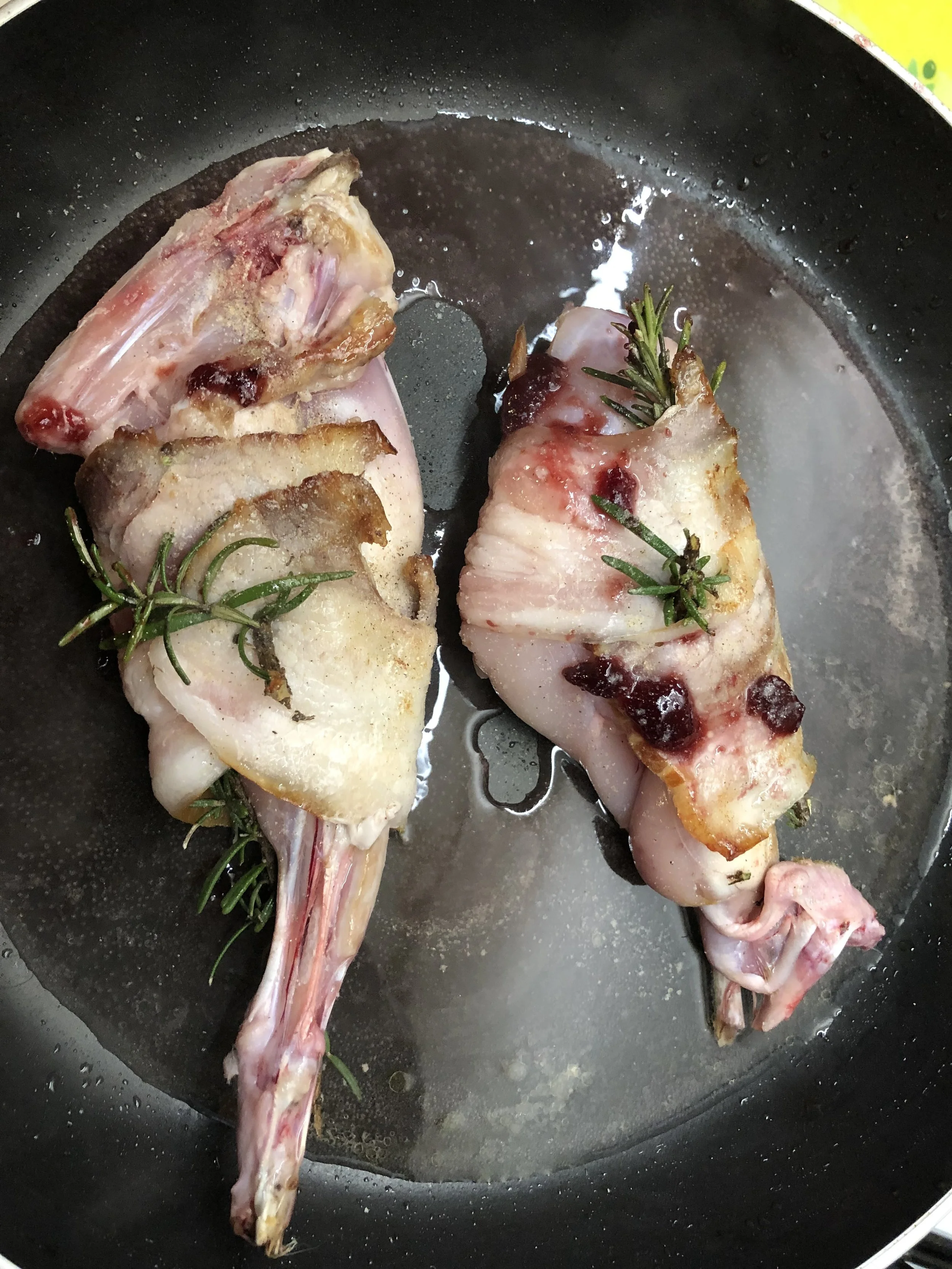 The Rabbit