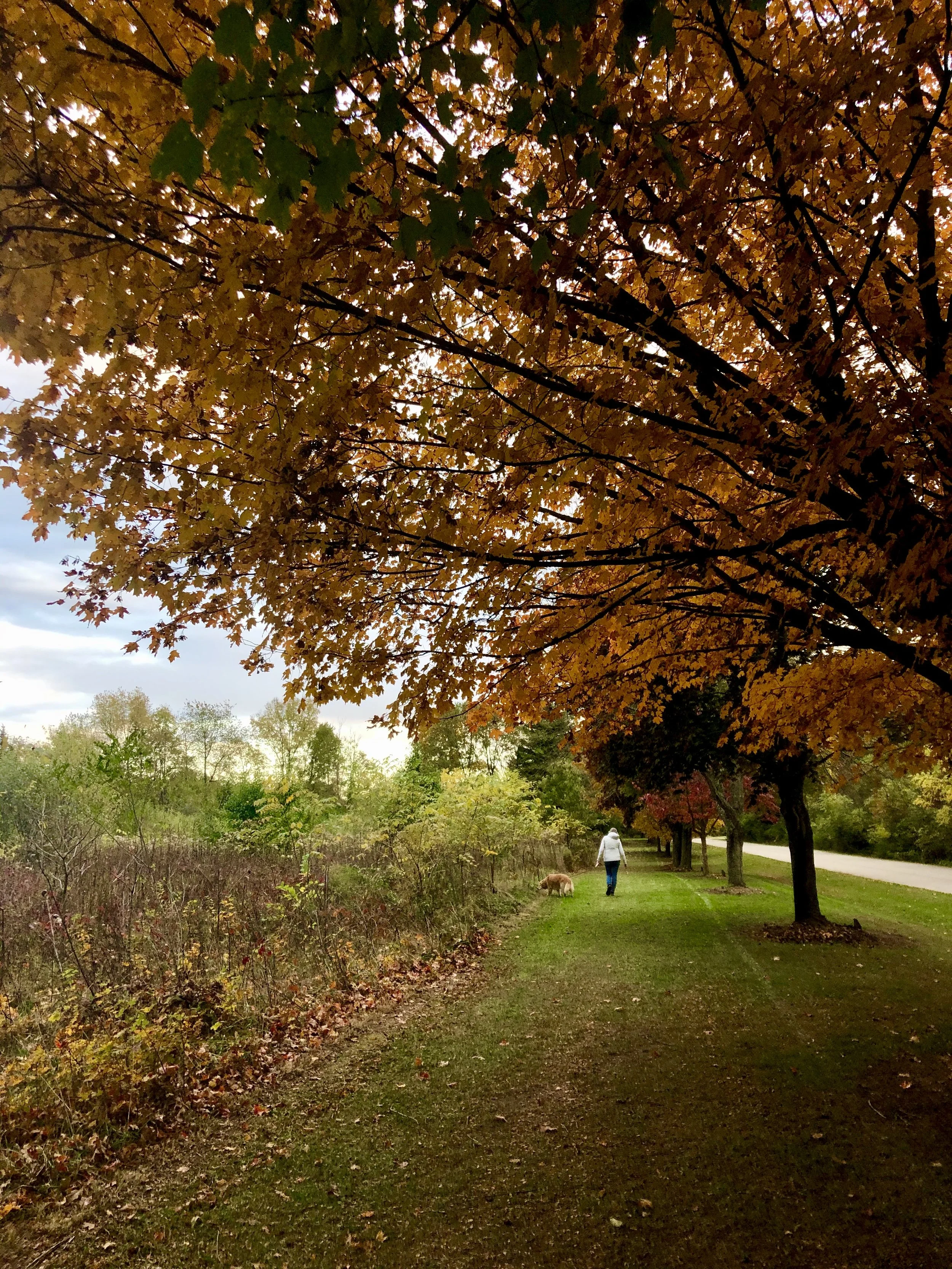 Autumn Glow  (and Pumpkin Flan Recipe)