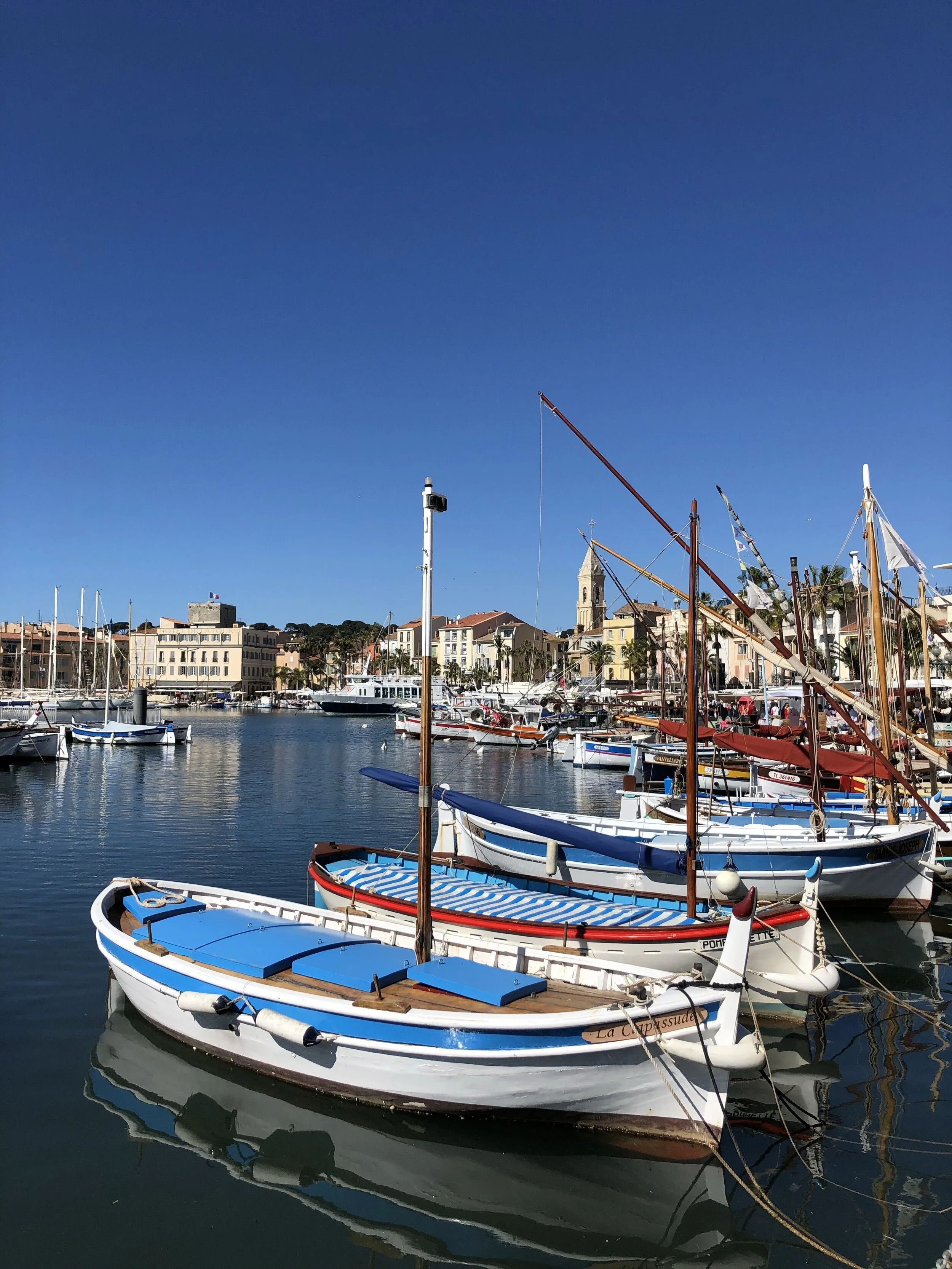 A New Fish Dish from Southern France