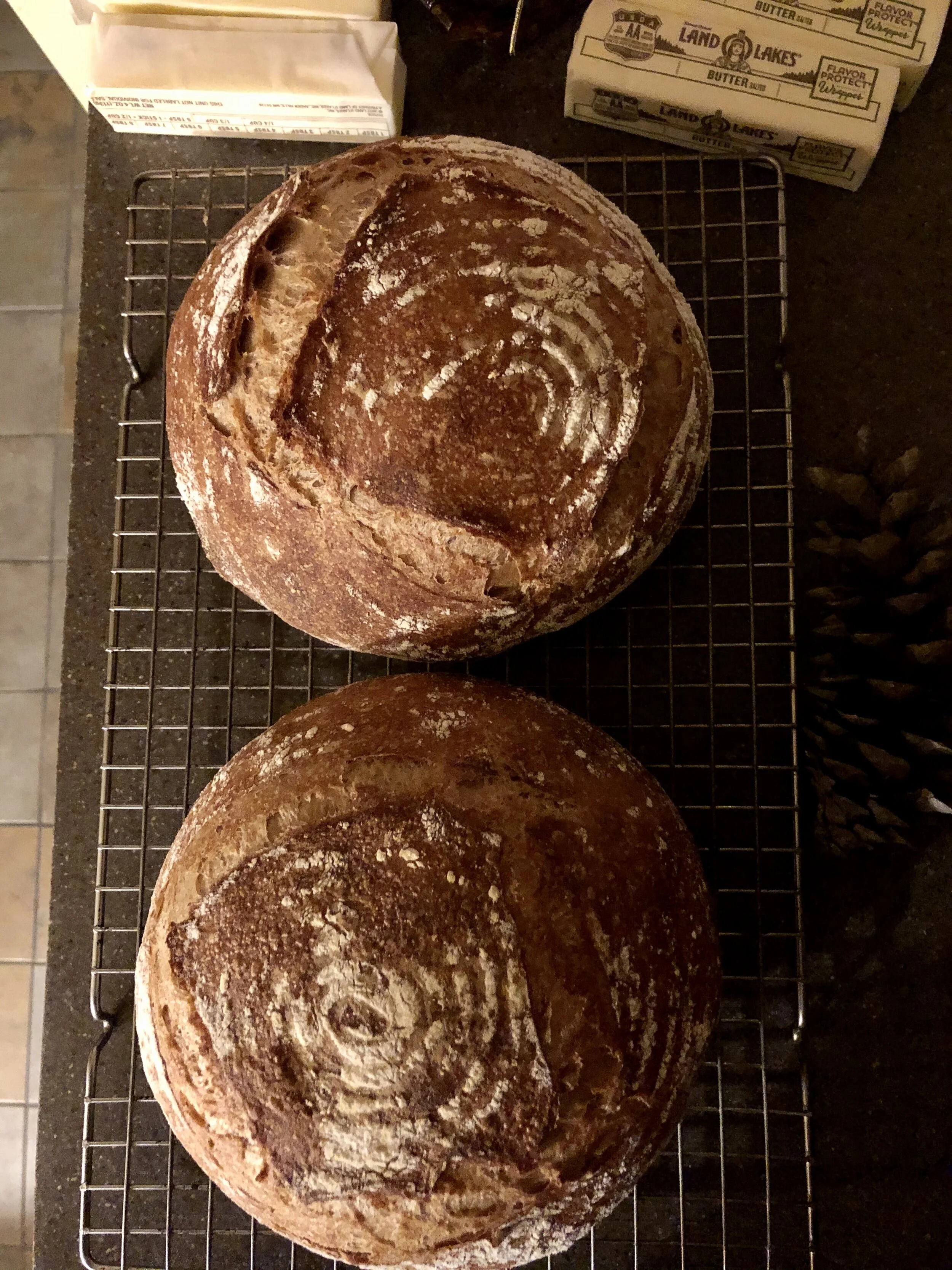 Pain de Campagne (or Slow Rising Wheat Bread)