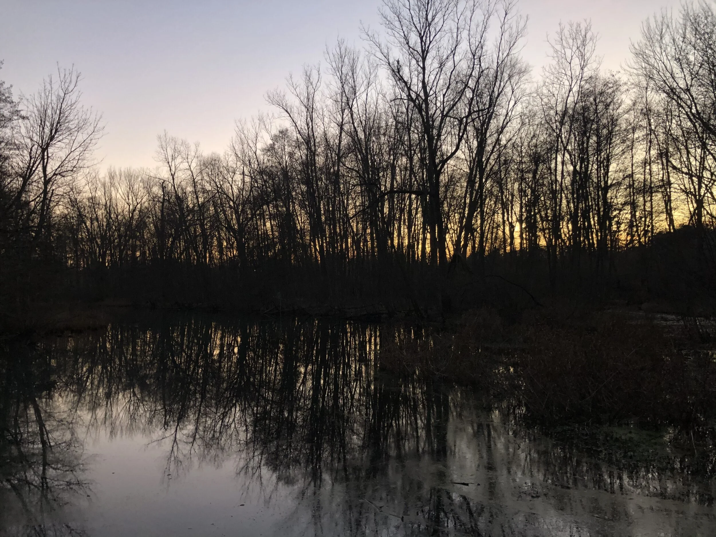 A Peaceful Place